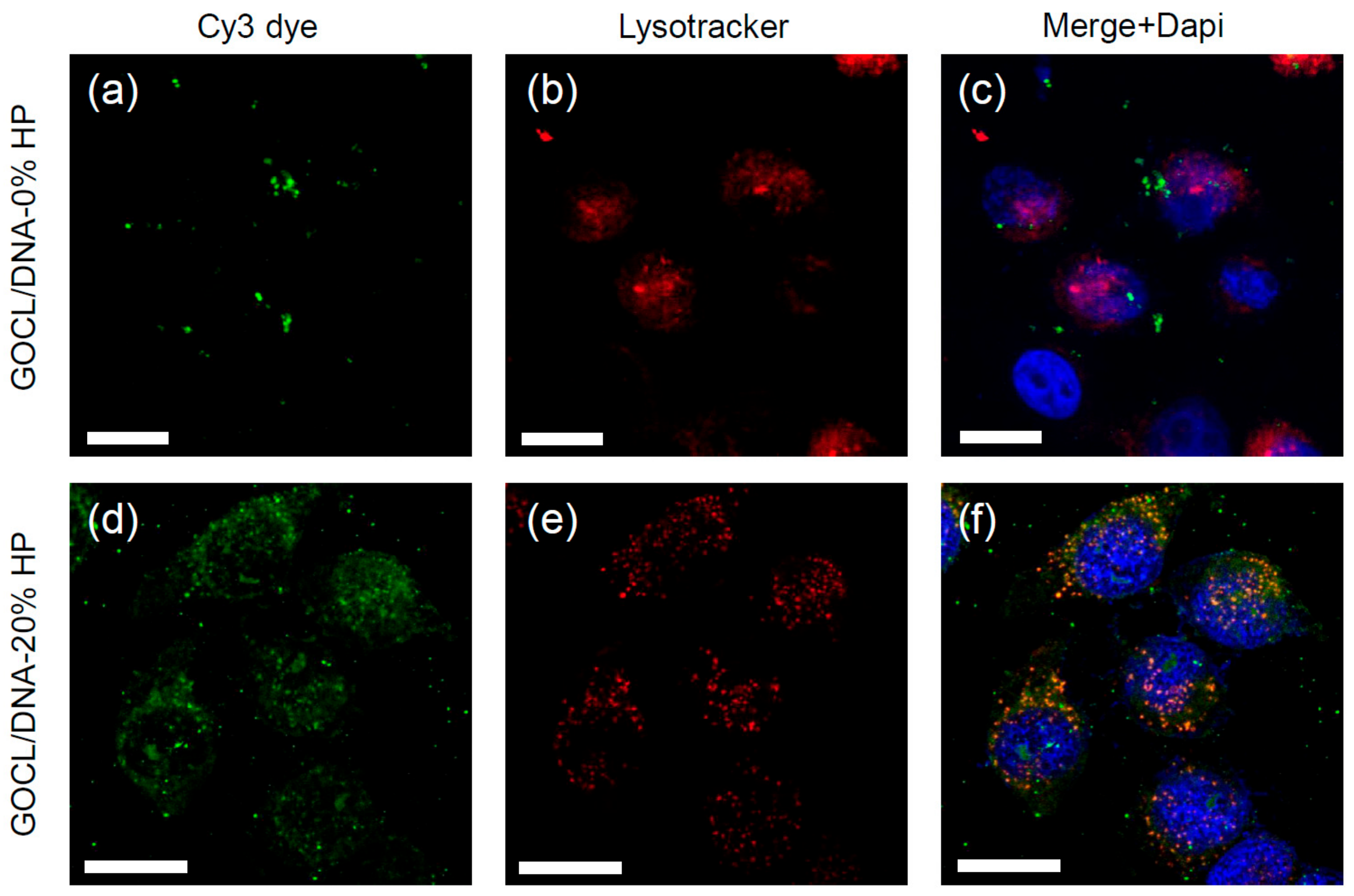 Pharmaceutics 12 00113 g005 Pharmaceutics 12 00113 g005