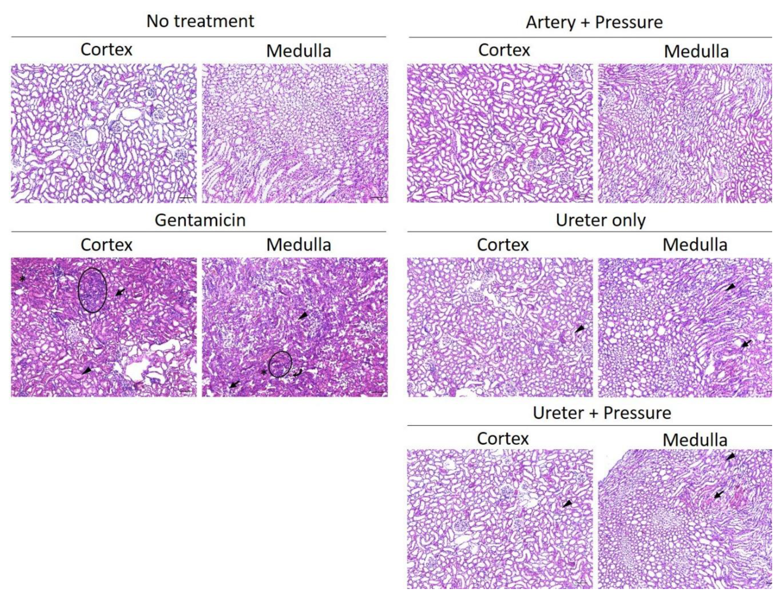 Pharmaceutics 12 00114 g008 Pharmaceutics 12 00114 g008