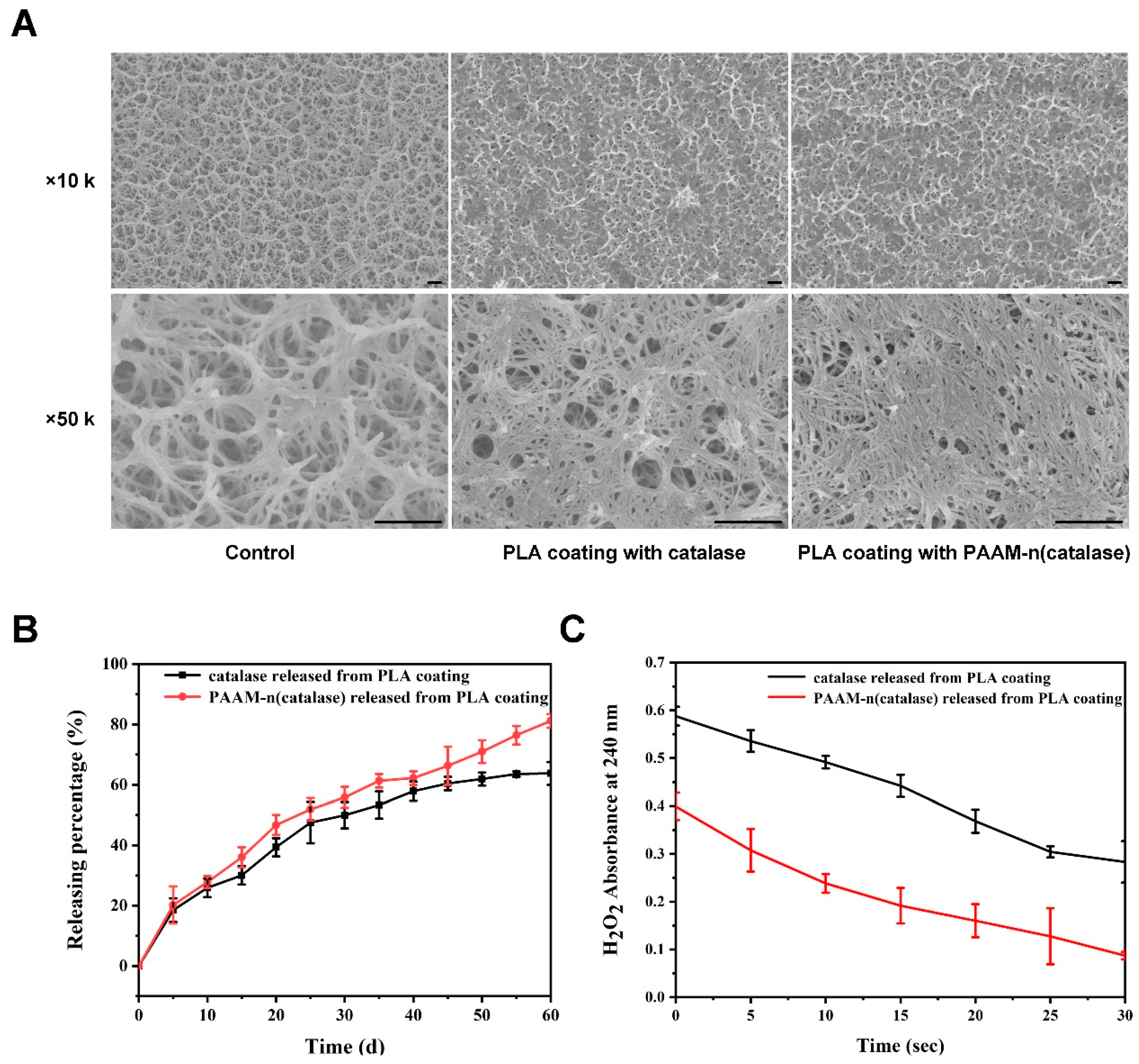 Pharmaceutics 12 00115 g005 Pharmaceutics 12 00115 g005
