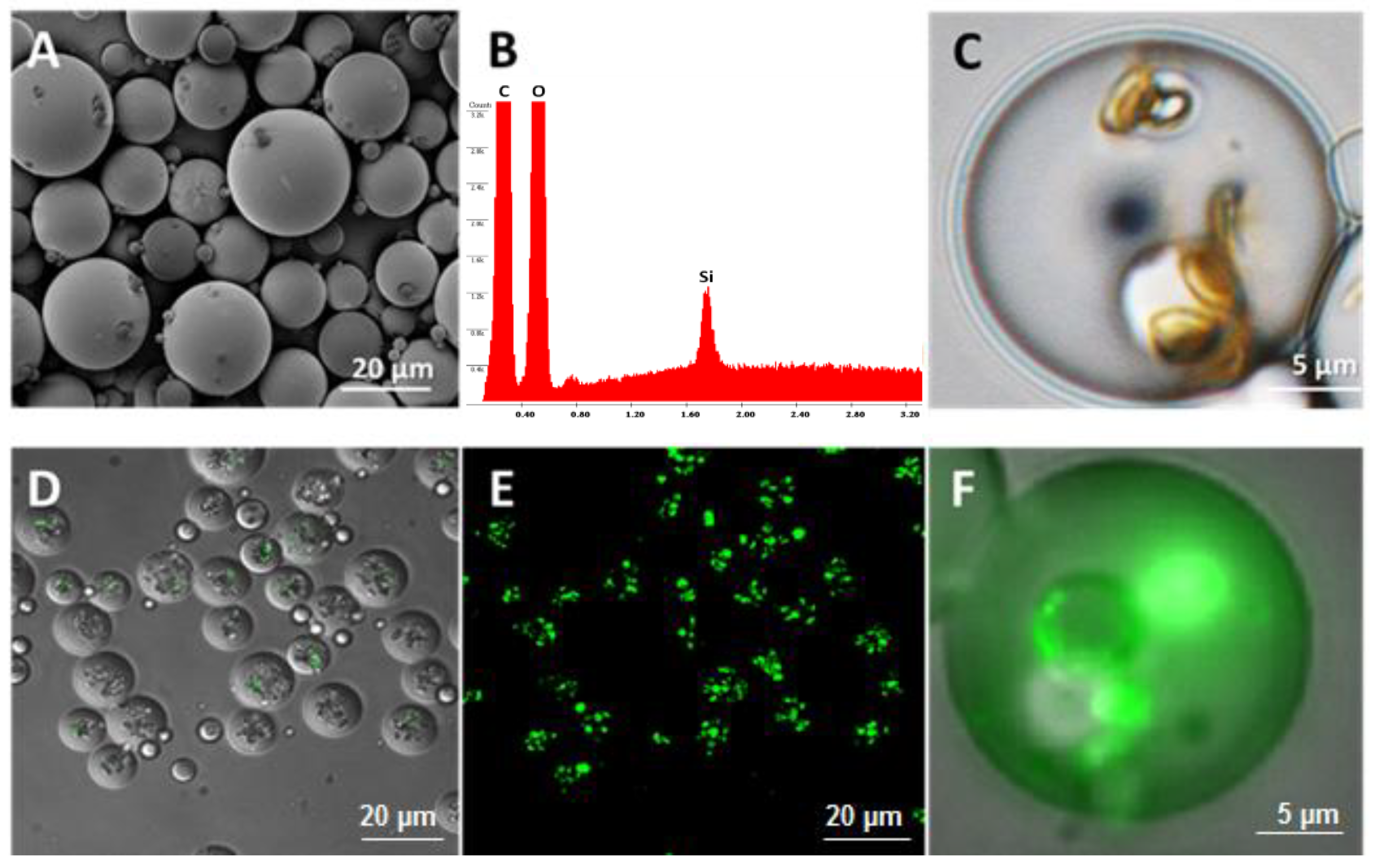 Pharmaceutics 12 00118 g001