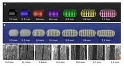 Pharmaceutics 12 00124 i004
