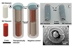 Pharmaceutics 12 00124 i005