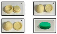 Pharmaceutics 12 00124 i008