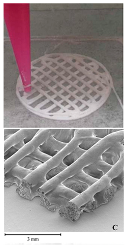 Pharmaceutics 12 00124 i016