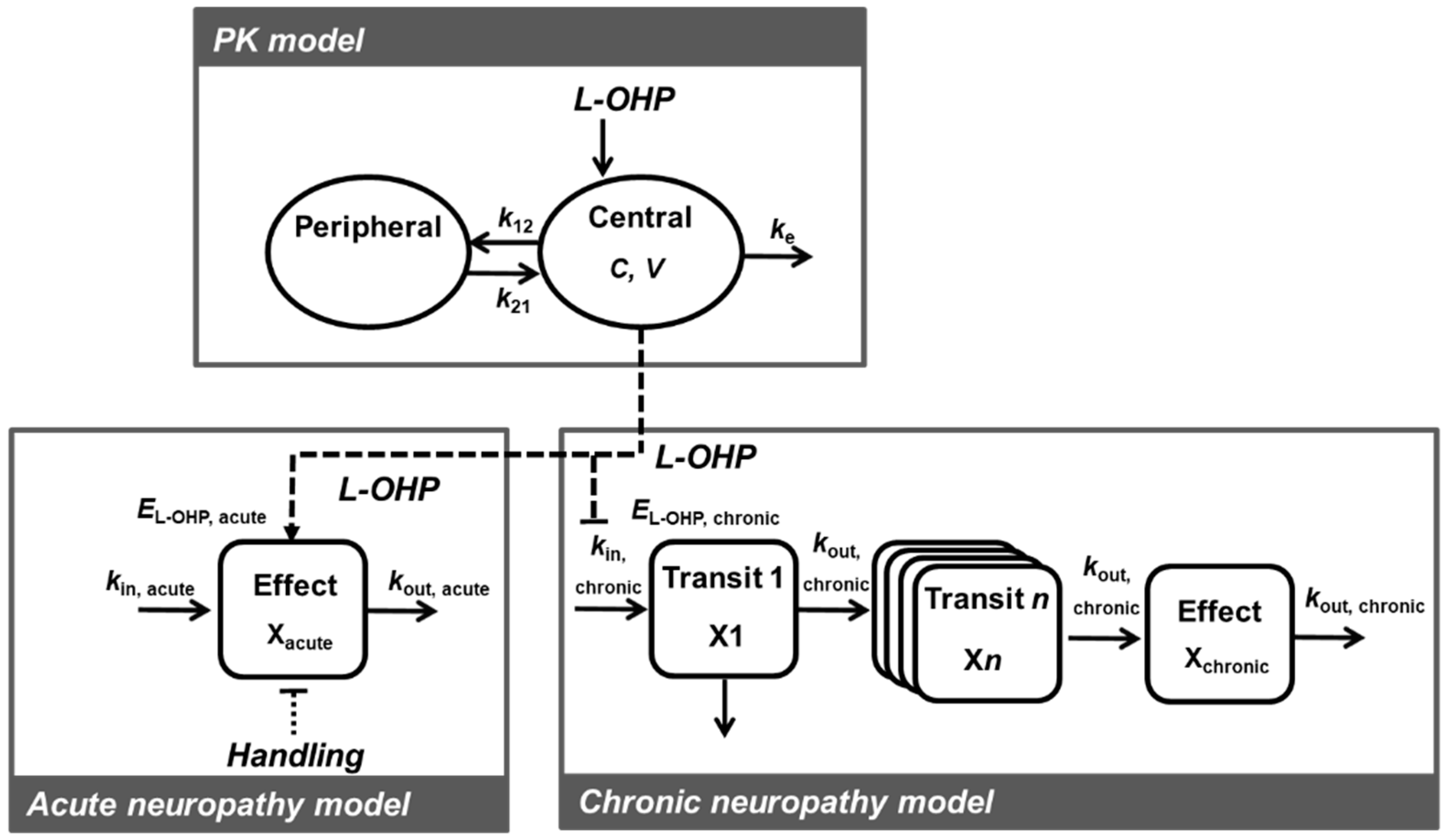 Pharmaceutics 12 00125 g001