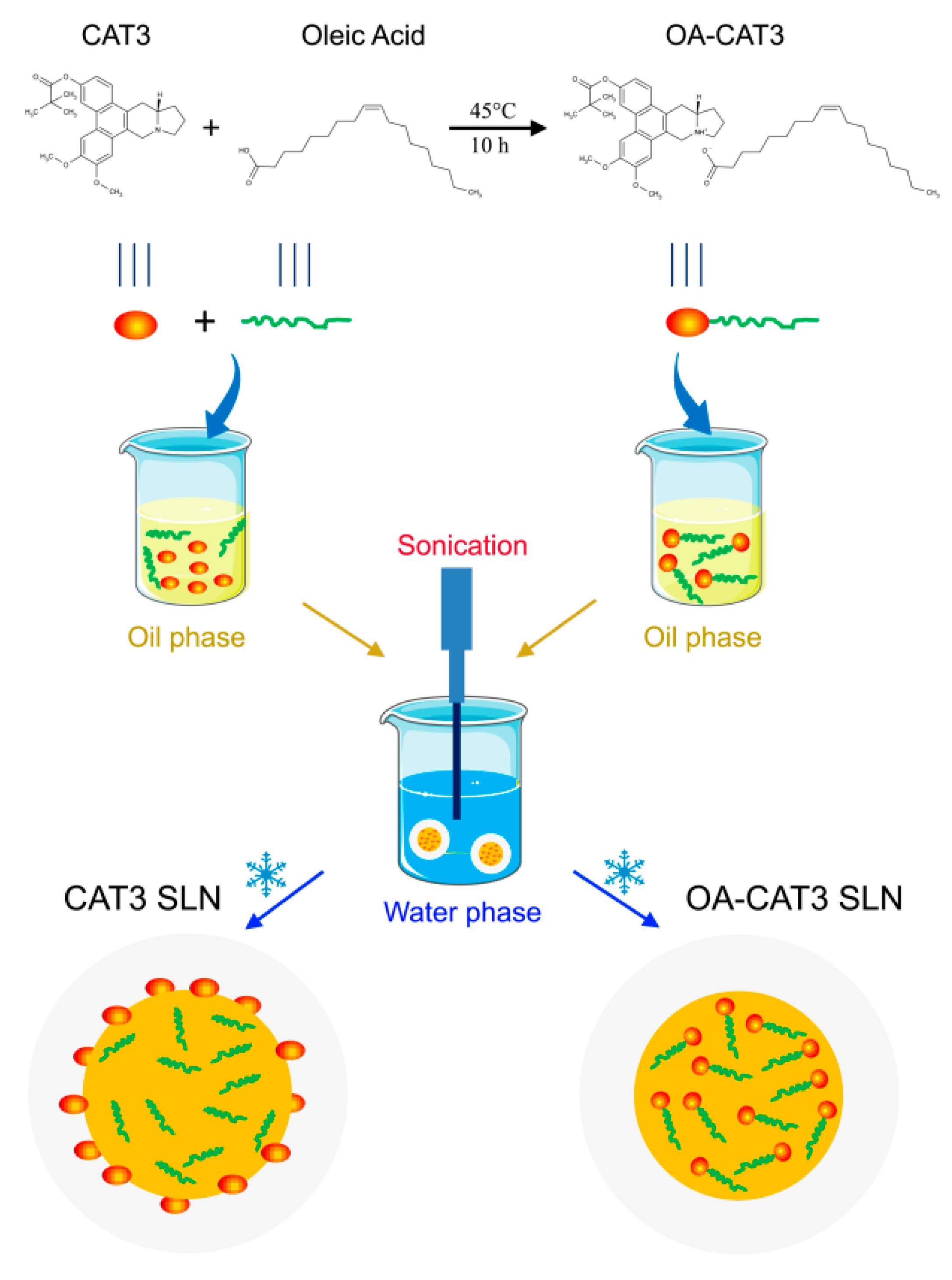 Pharmaceutics 12 00126 g002