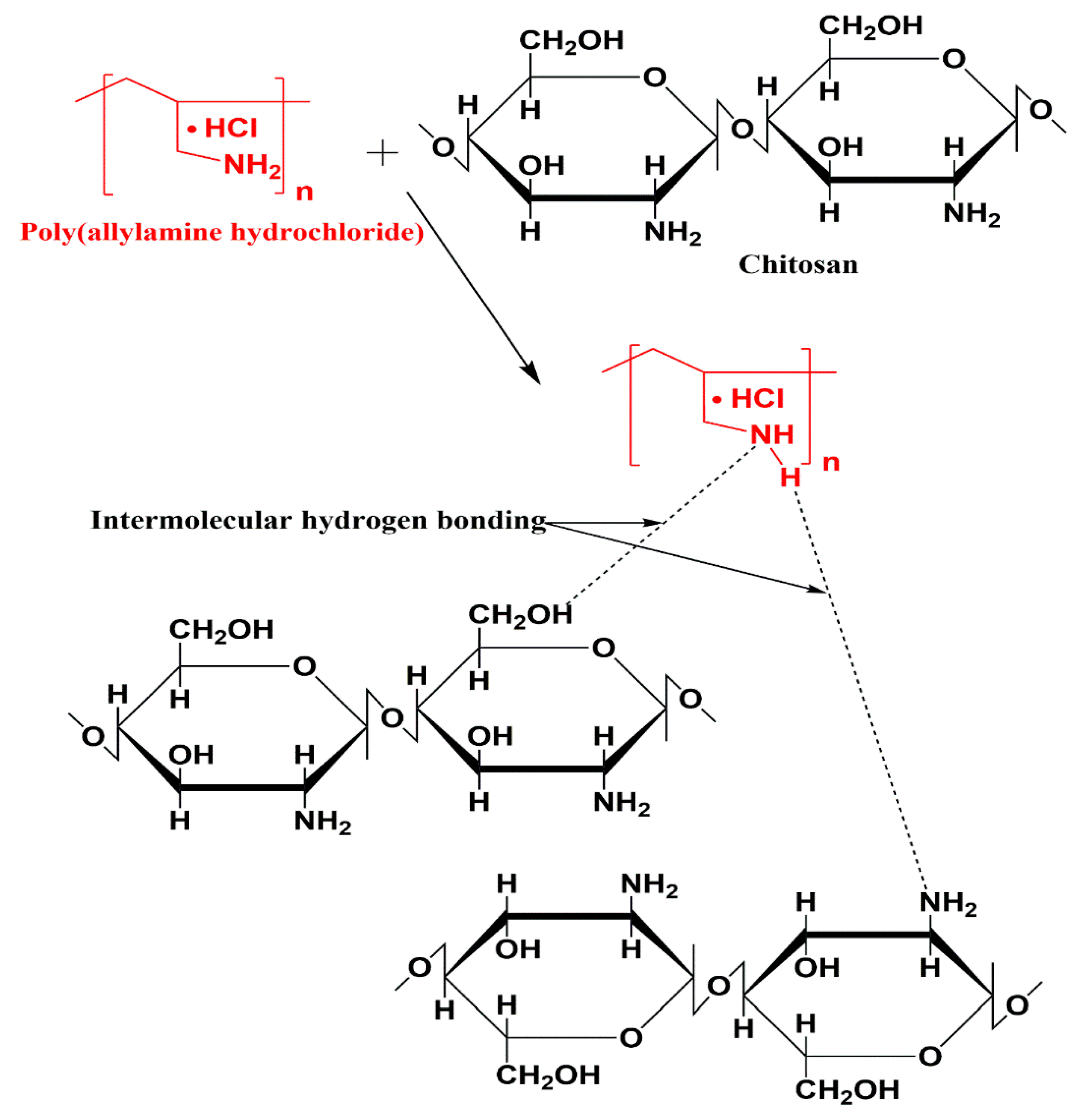 Pharmaceutics 12 00131 g001