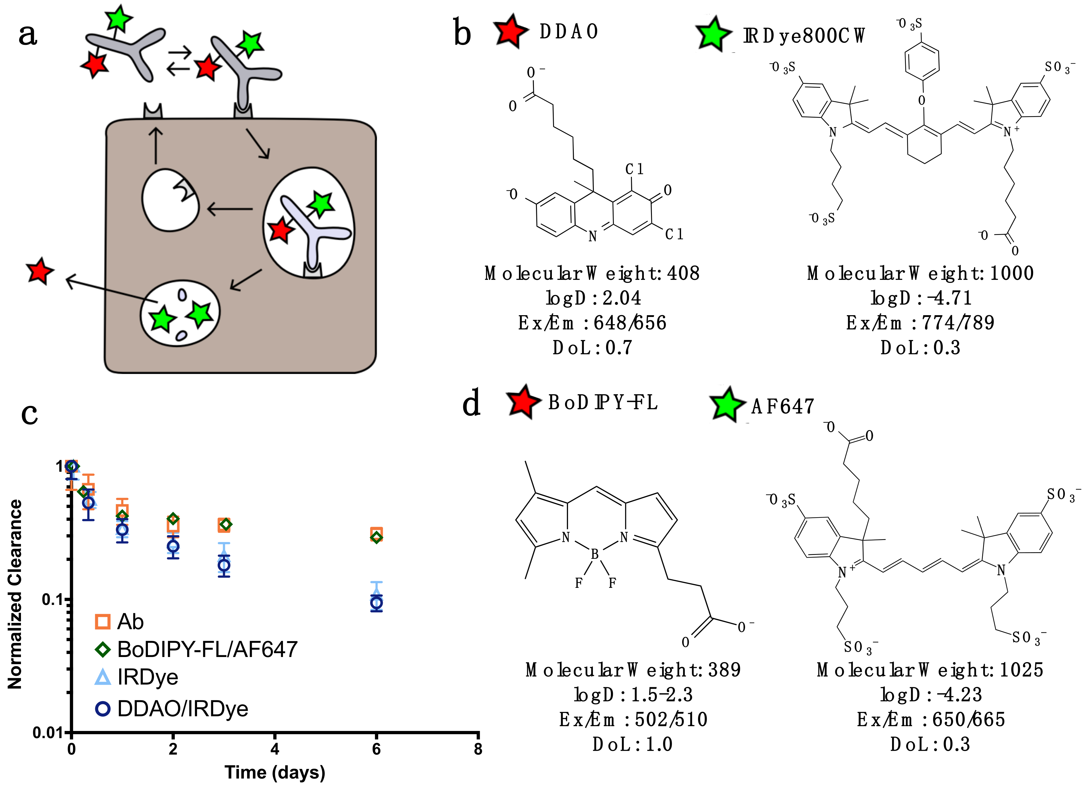 Pharmaceutics 12 00132 g001