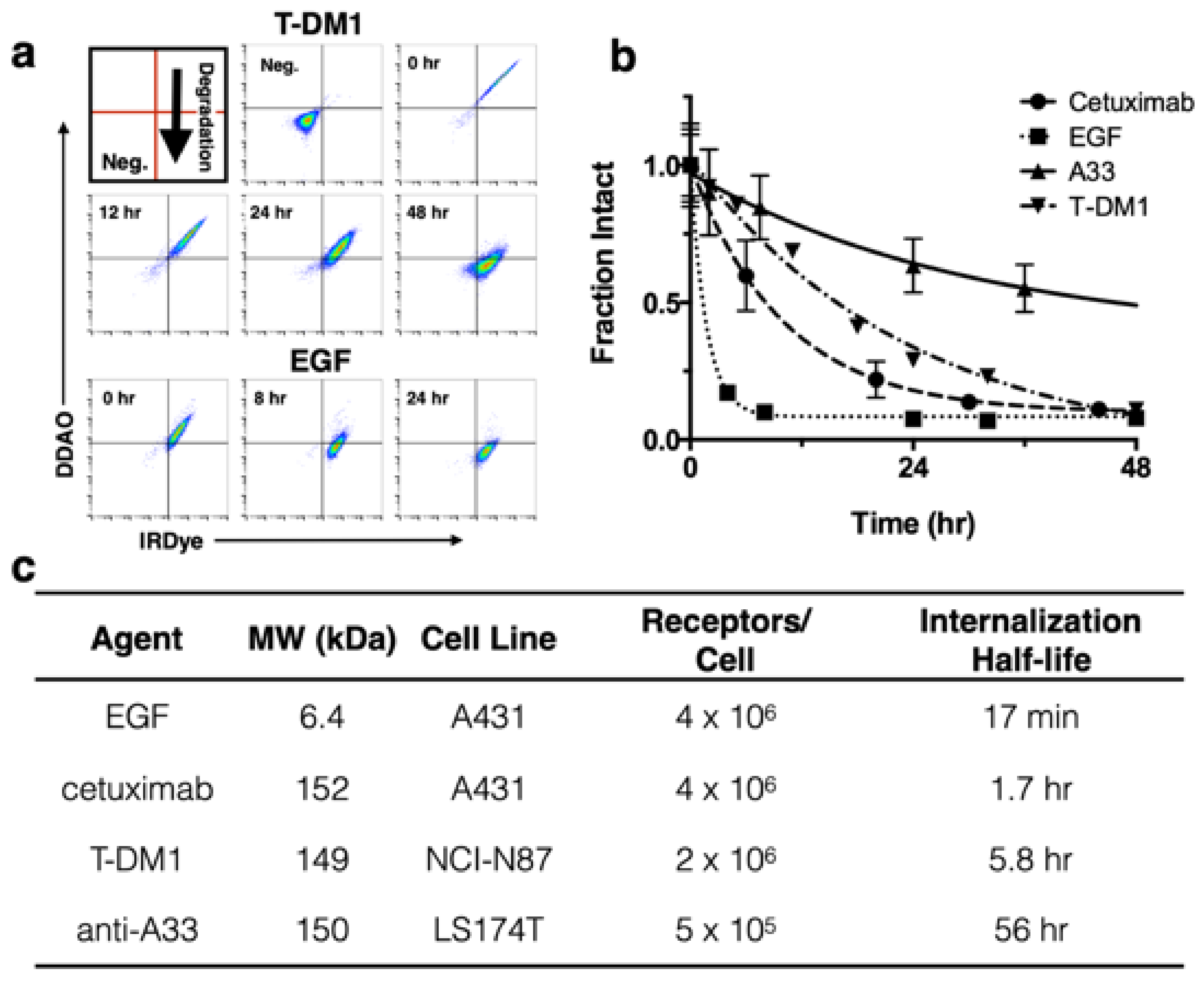 Pharmaceutics 12 00132 g002