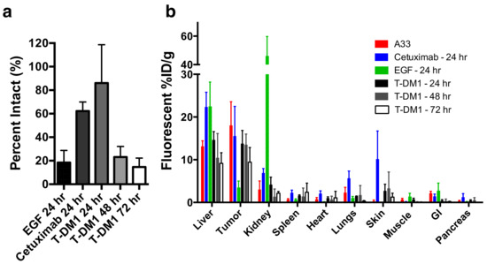 Practical Guide for Quantification of In Vivo Degradation Rates for ...