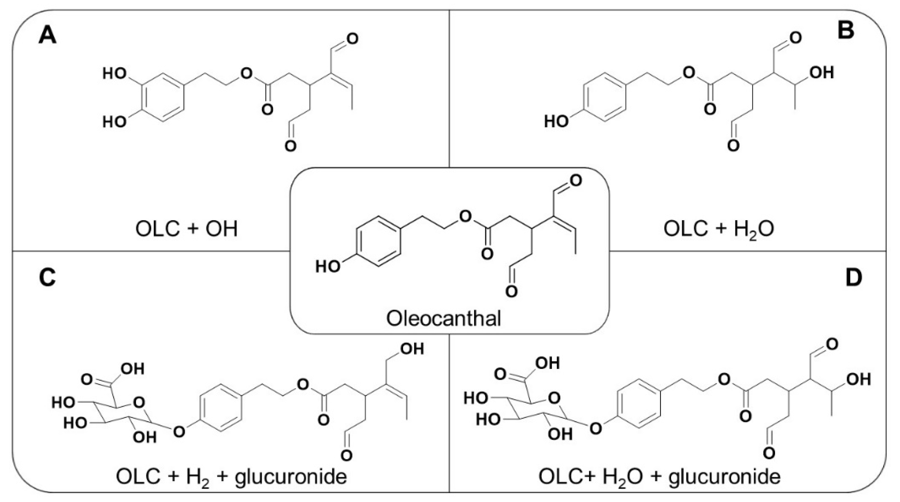 Pharmaceutics 12 00134 g001 Pharmaceutics 12 00134 g001