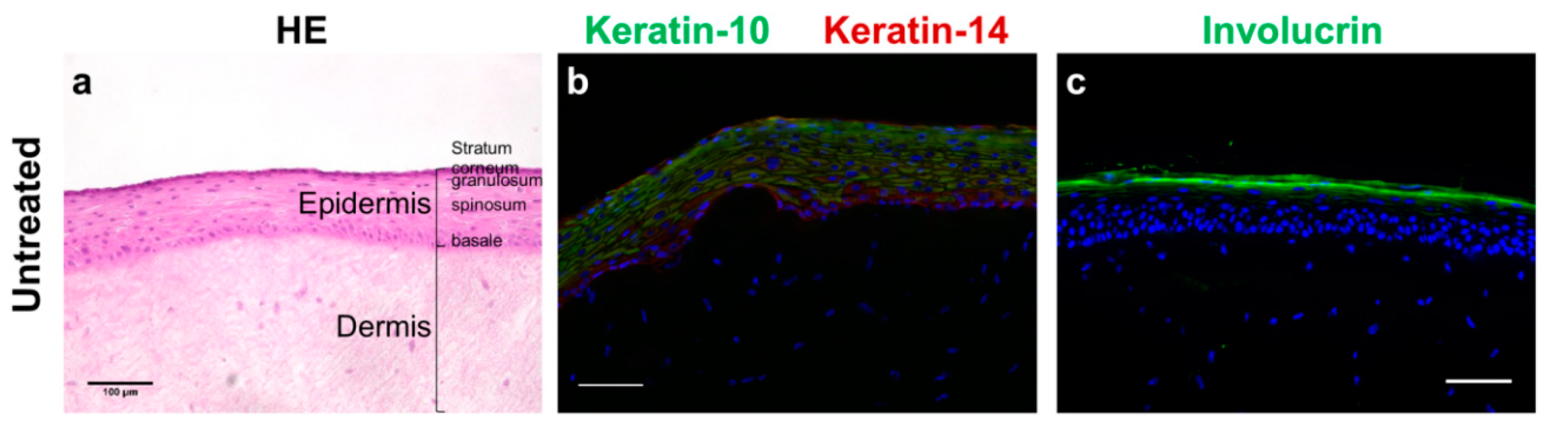 Pharmaceutics 12 00136 g001 Pharmaceutics 12 00136 g001