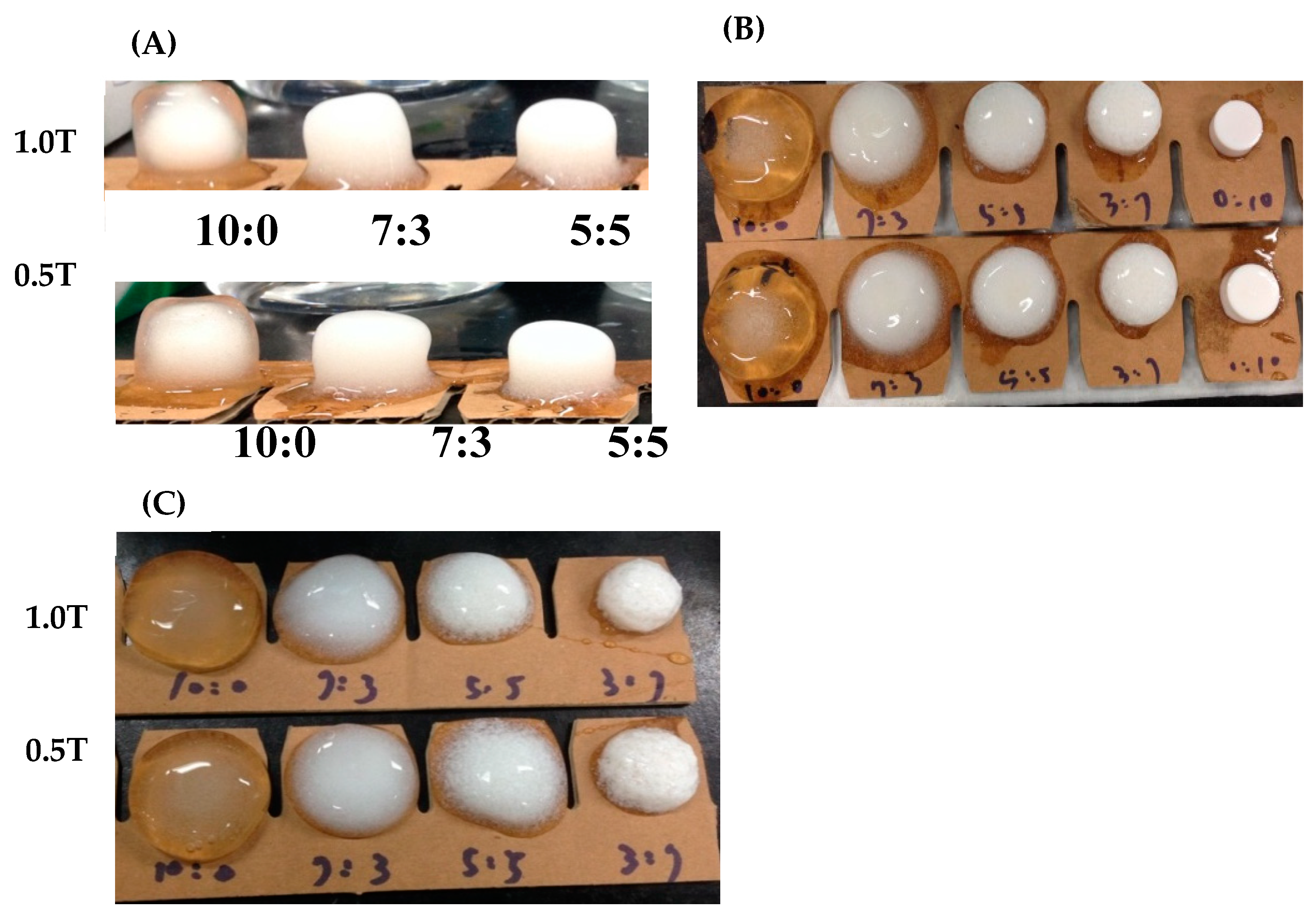 Pharmaceutics 12 00137 g001