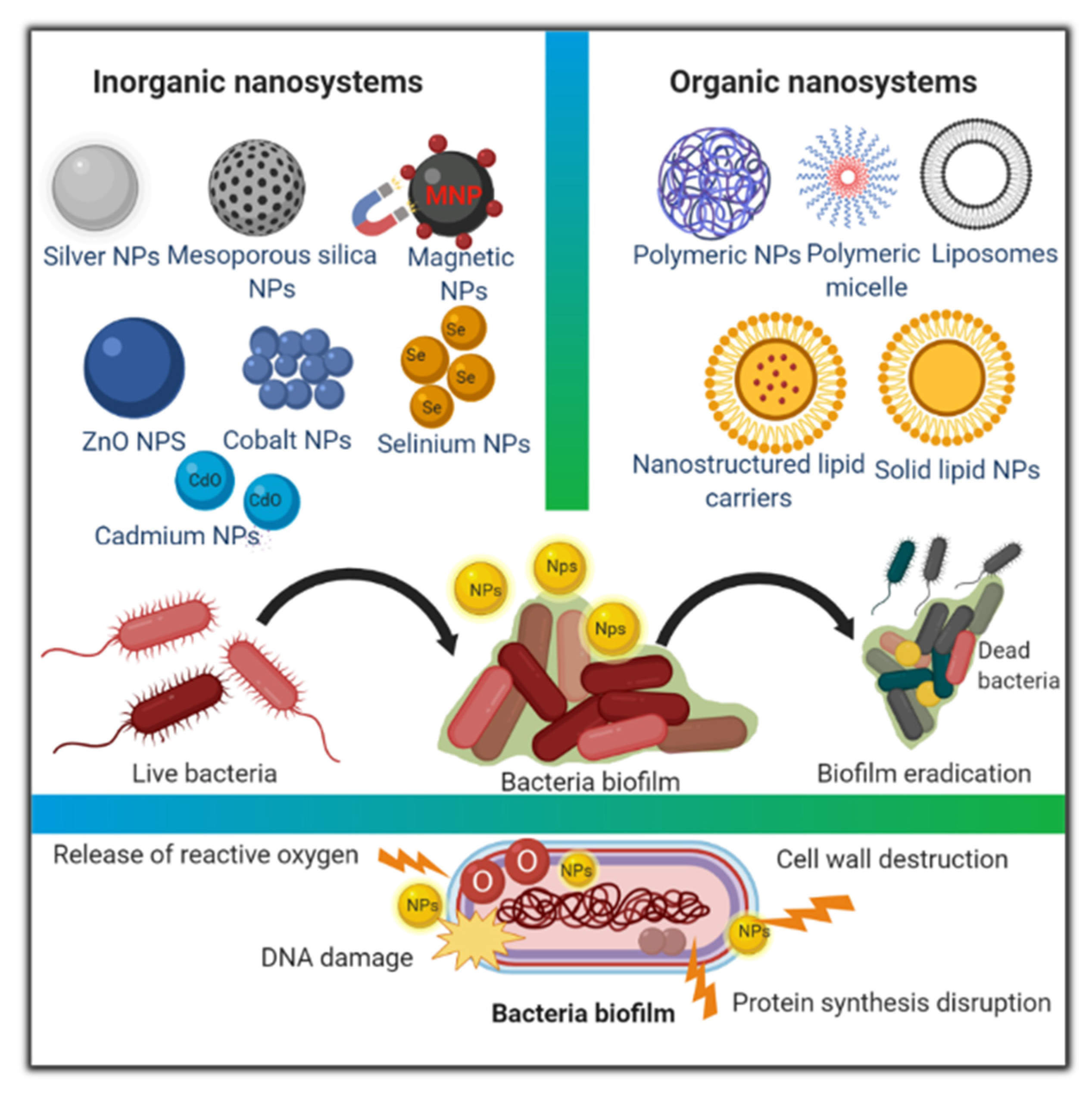 Pharmaceutics 12 00142 g001 Pharmaceutics 12 00142 g001