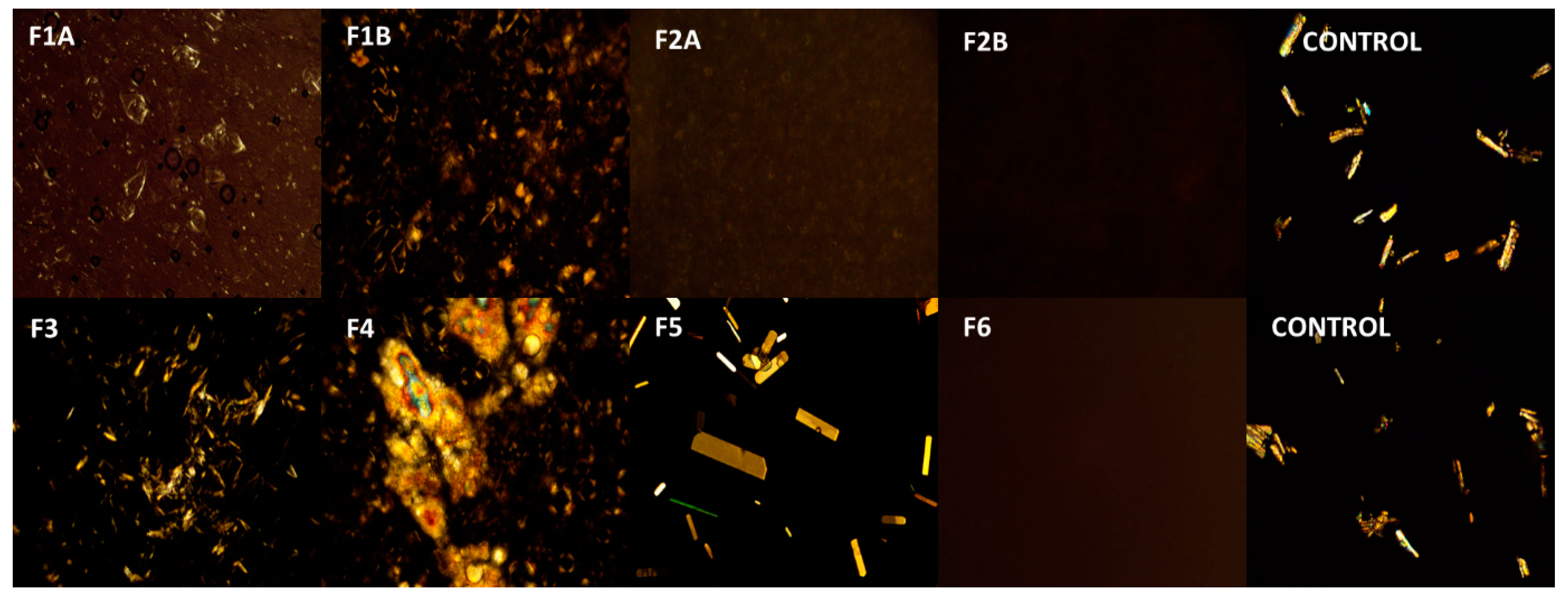 Pharmaceutics 12 00151 g002