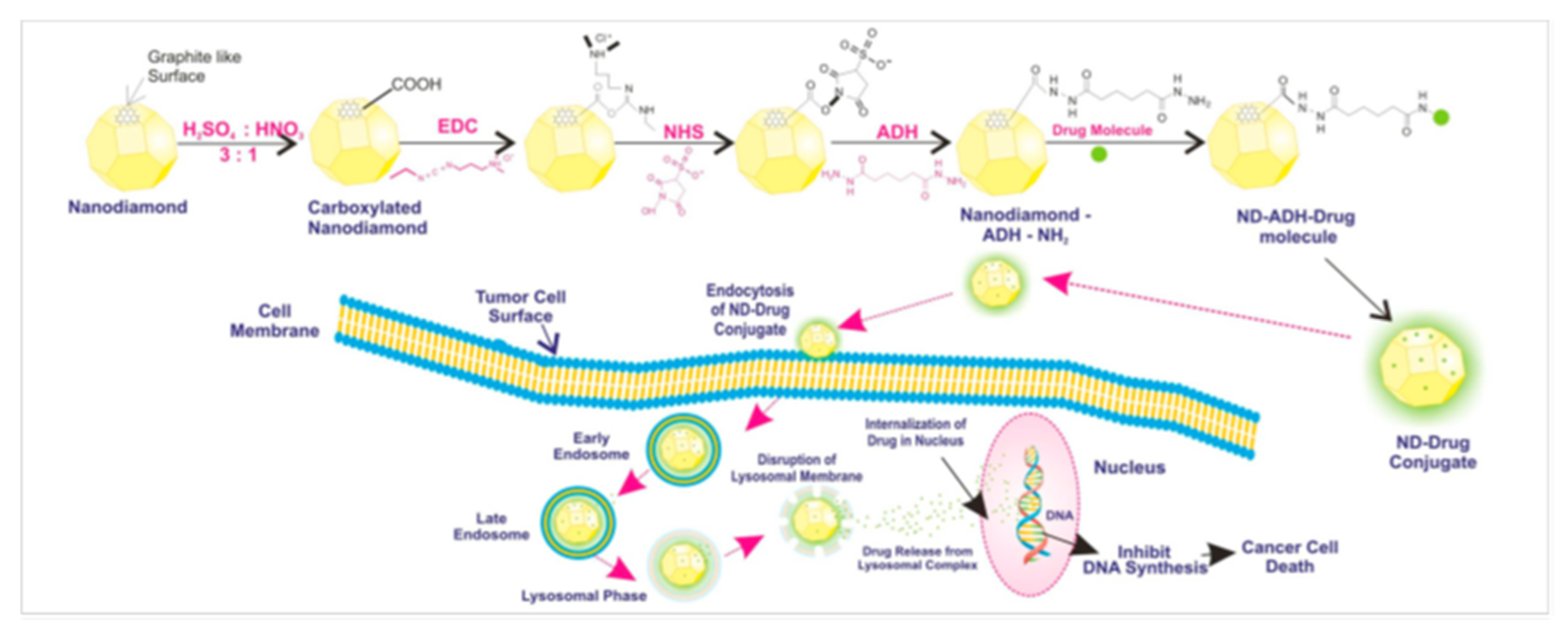 Pharmaceutics 12 00156 g007 Pharmaceutics 12 00156 g007