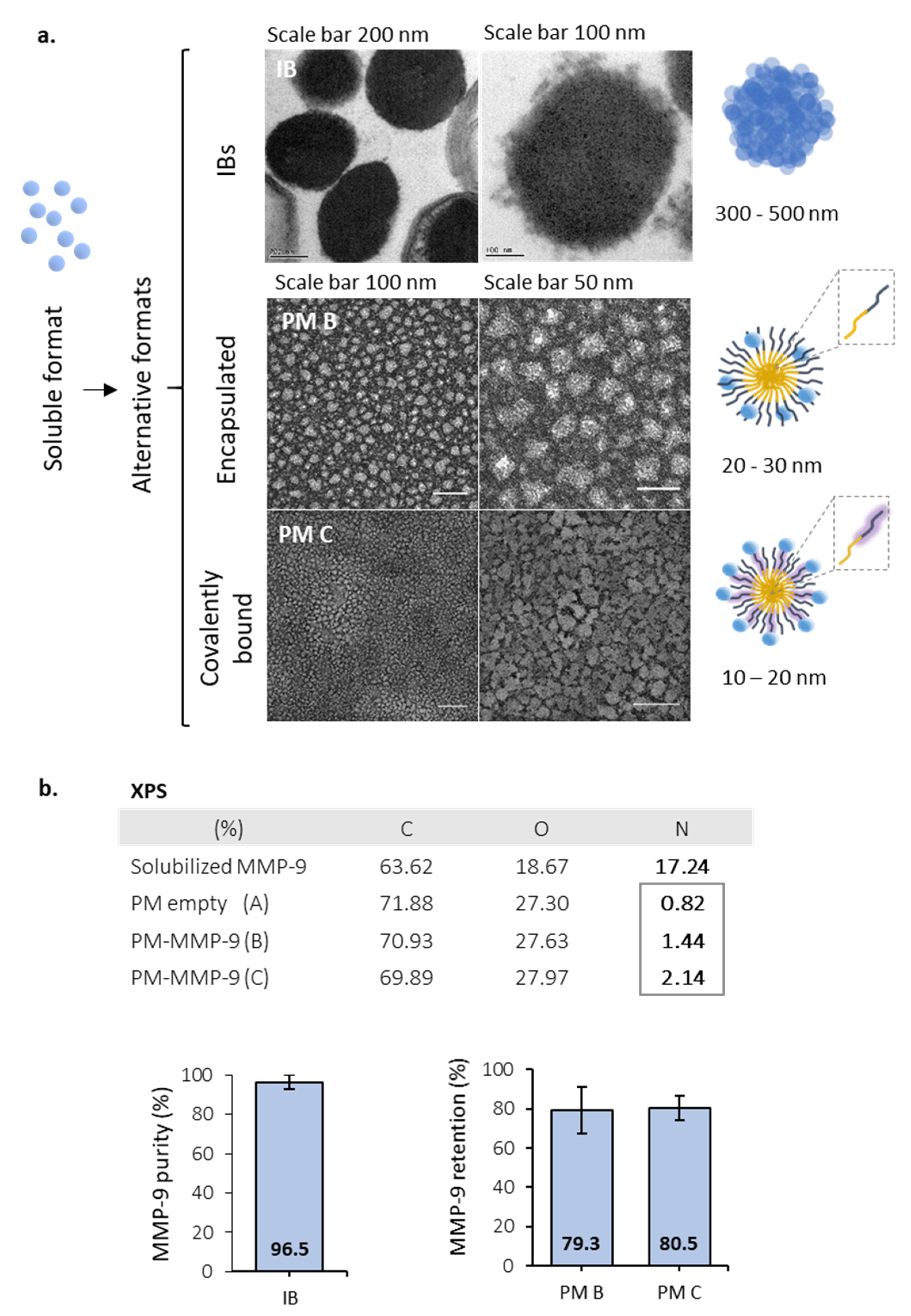 Pharmaceutics 12 00157 g001 Pharmaceutics 12 00157 g001