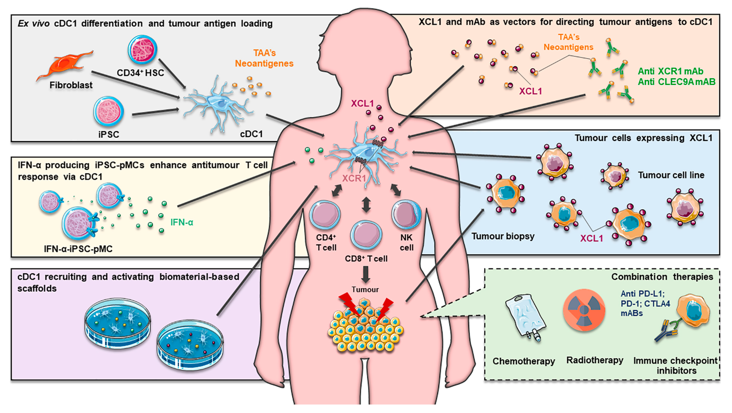 Pharmaceutics 12 00158 g003