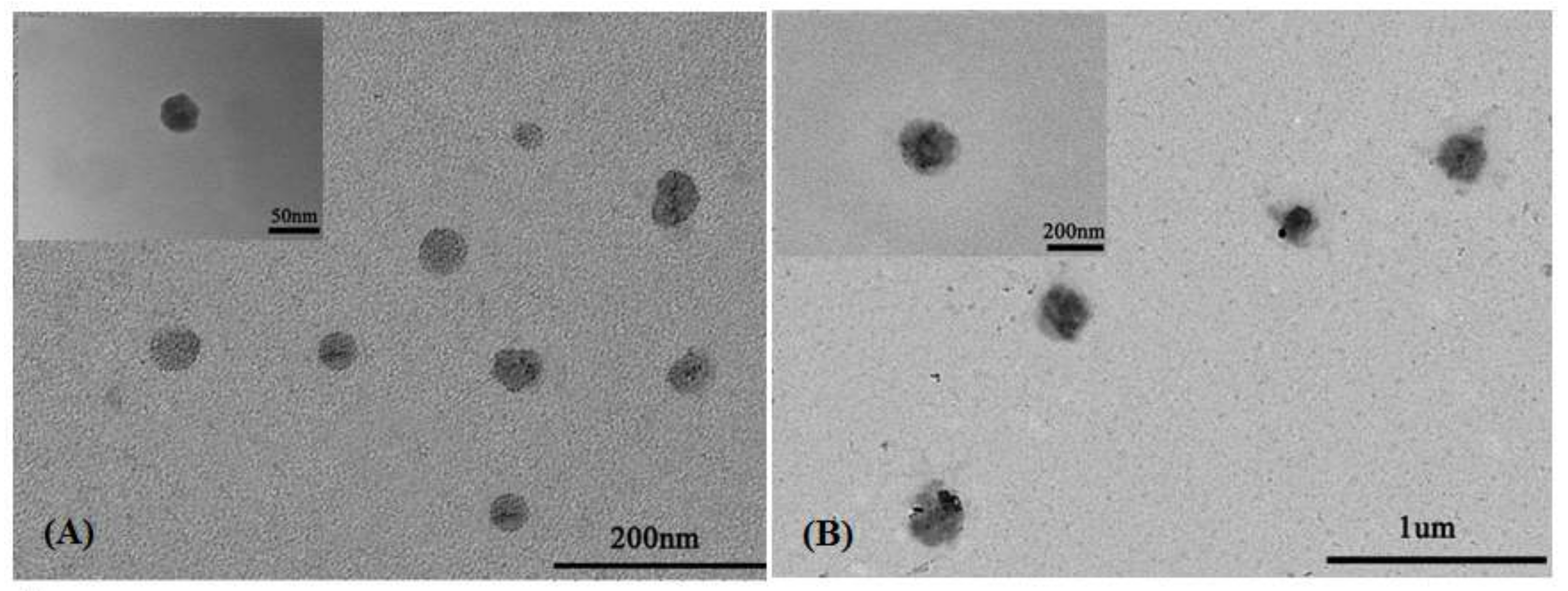 Pharmaceutics 12 00170 g006 Pharmaceutics 12 00170 g006