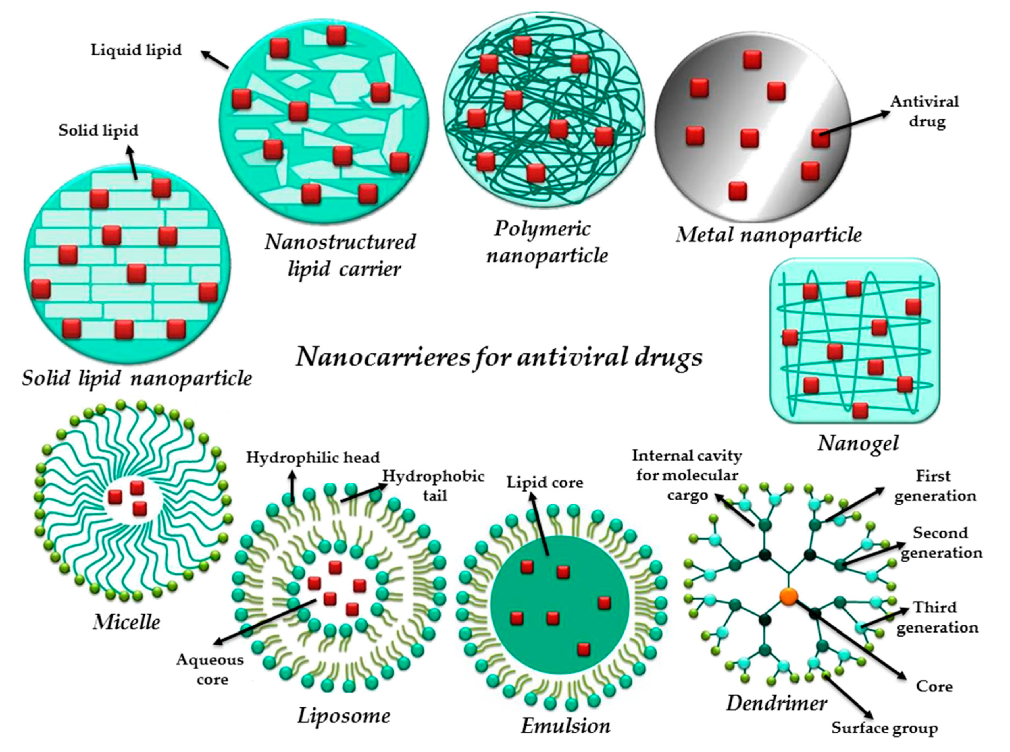 Pharmaceutics 12 00171 g004