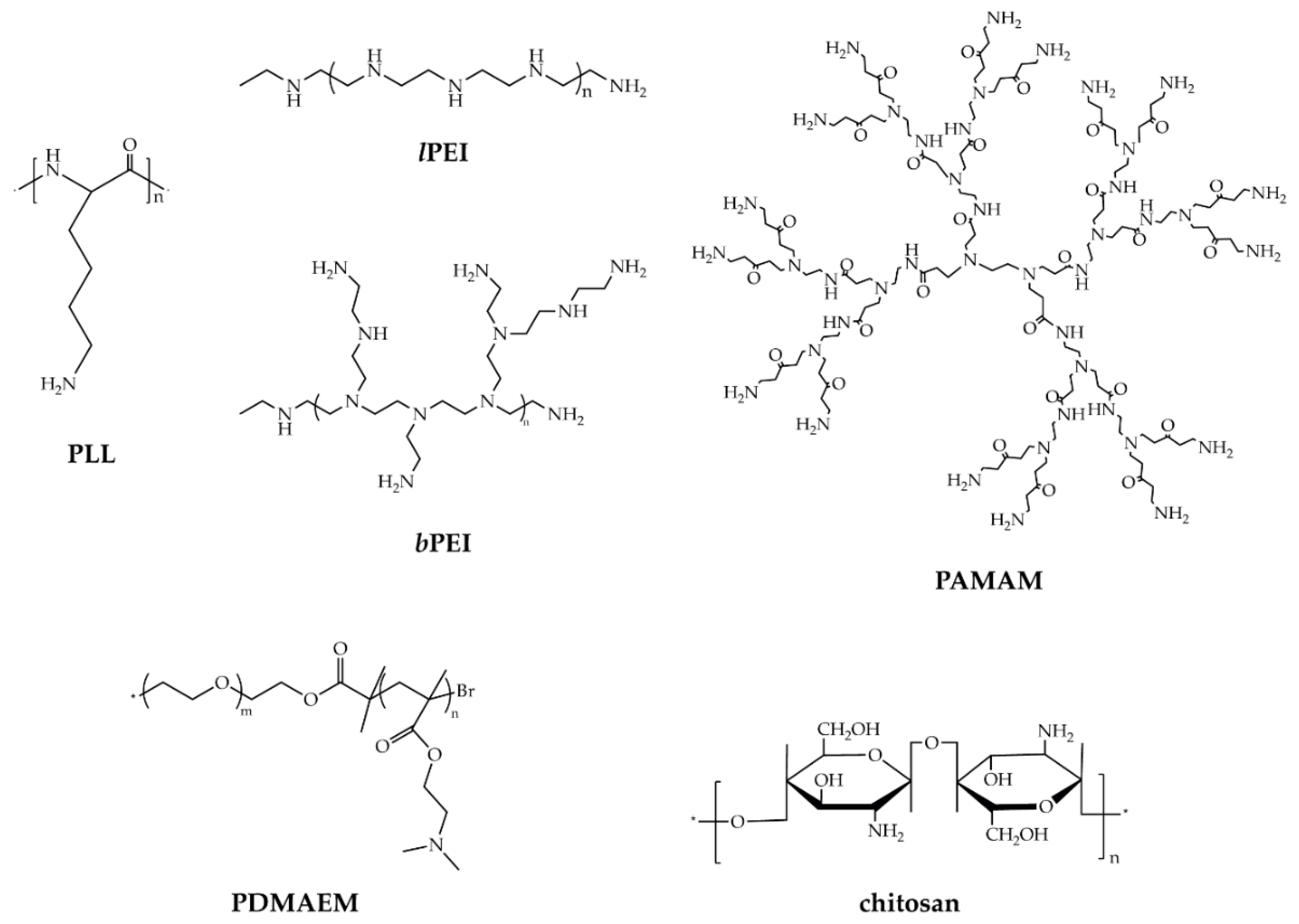 Pharmaceutics 12 00183 g002