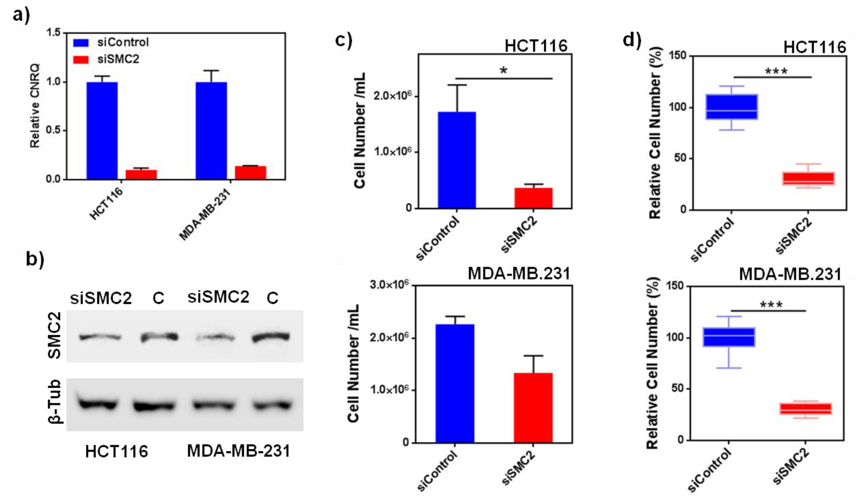 Pharmaceutics 12 00185 g001