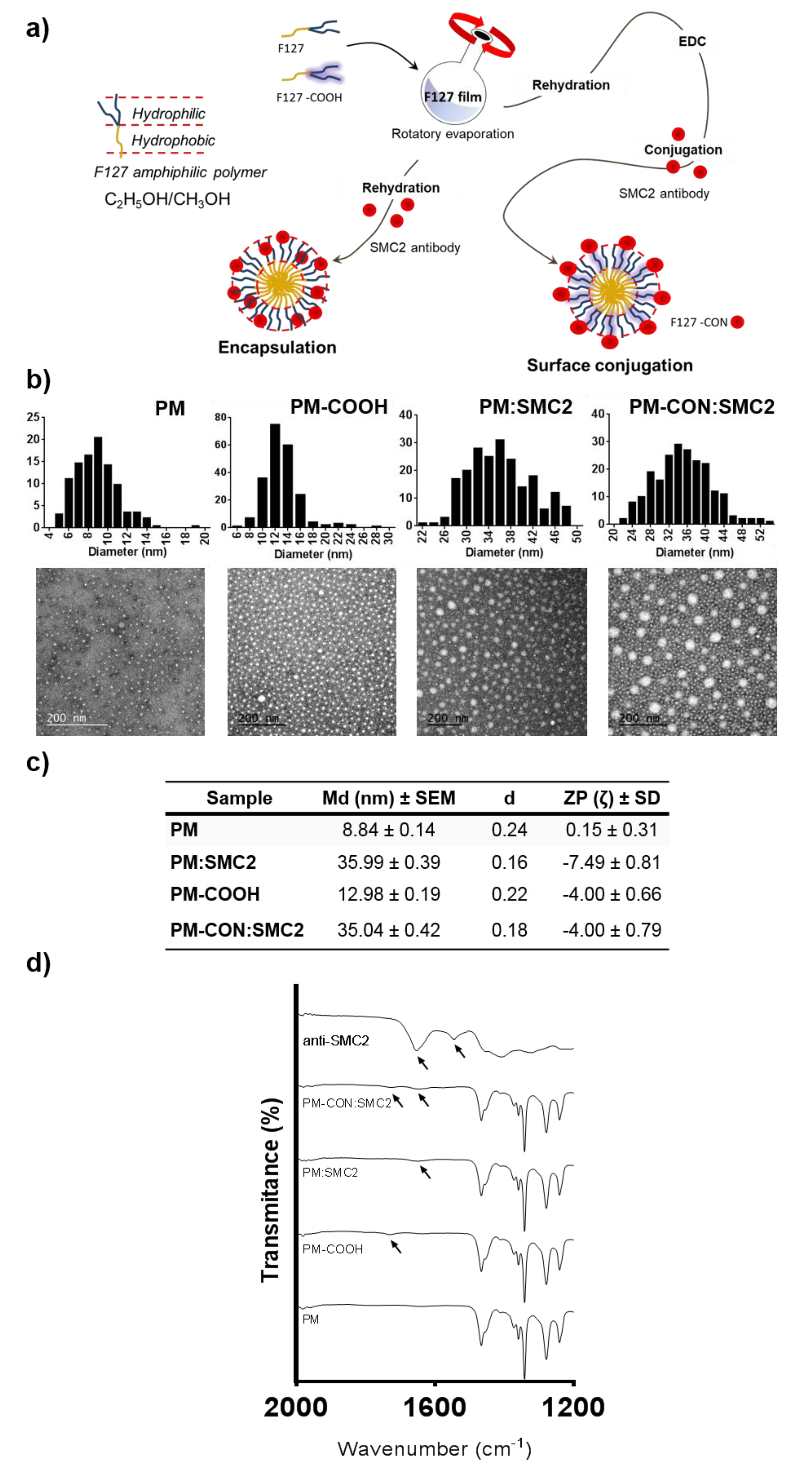Pharmaceutics 12 00185 g002
