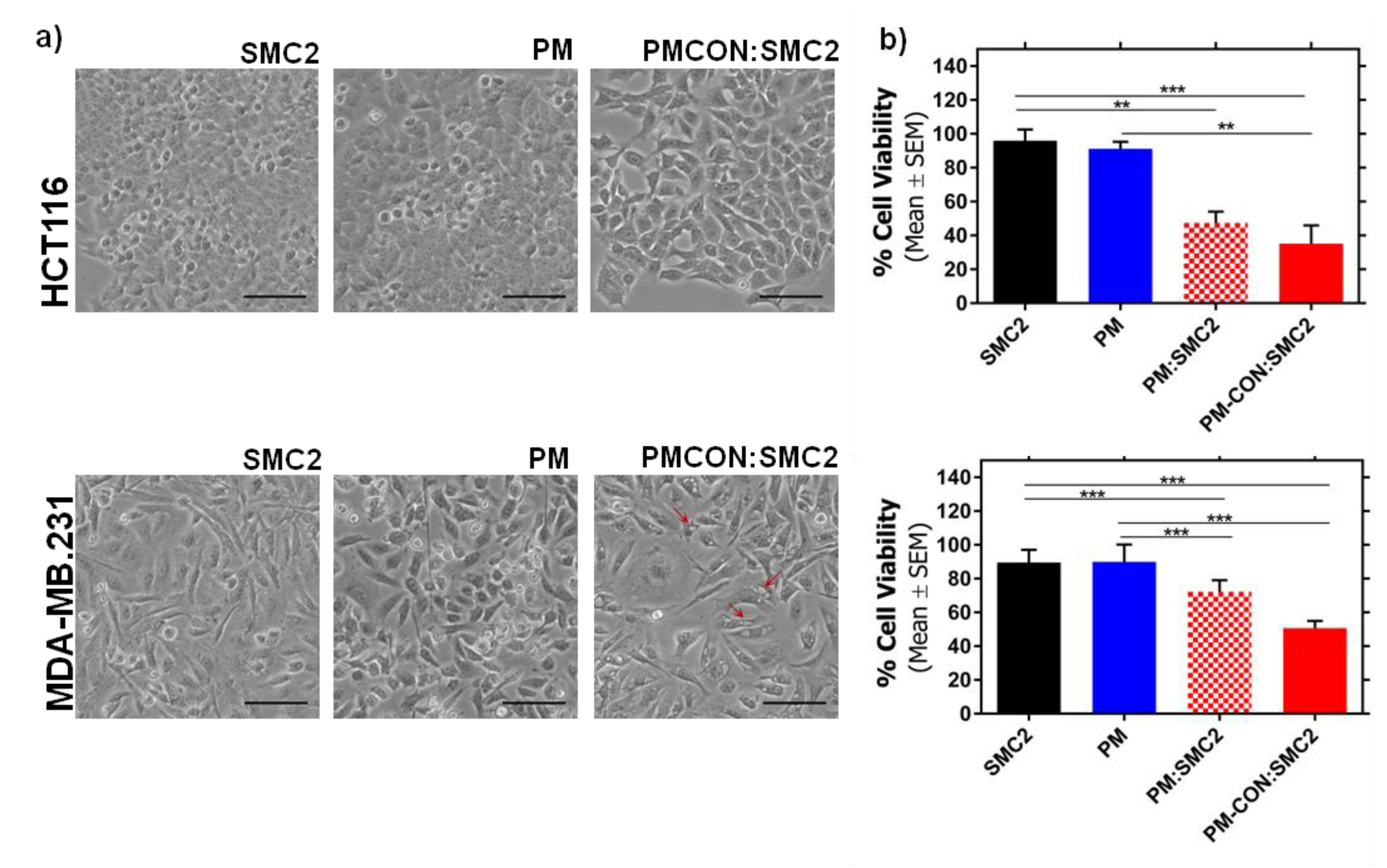 Pharmaceutics 12 00185 g003