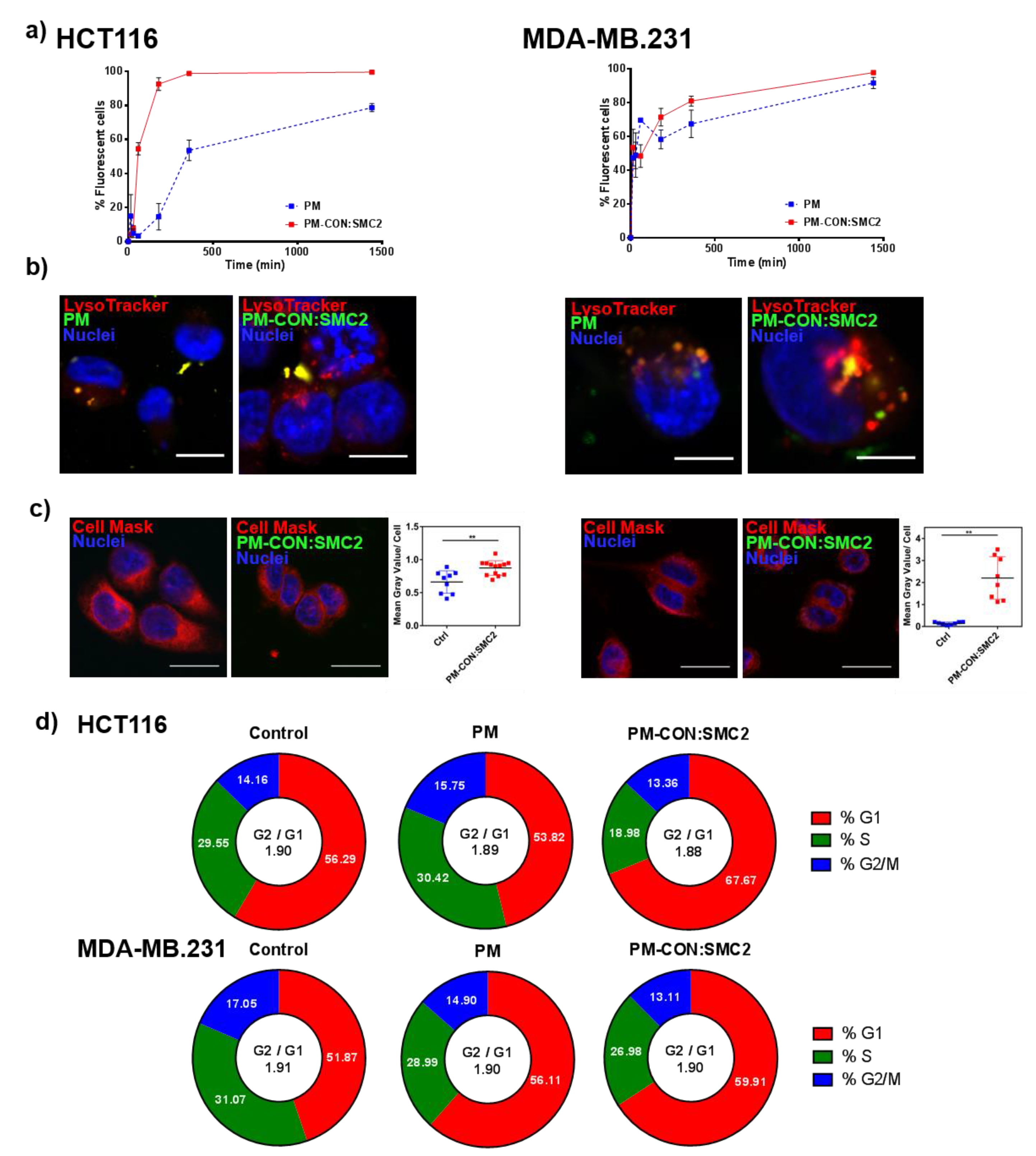 Pharmaceutics 12 00185 g004