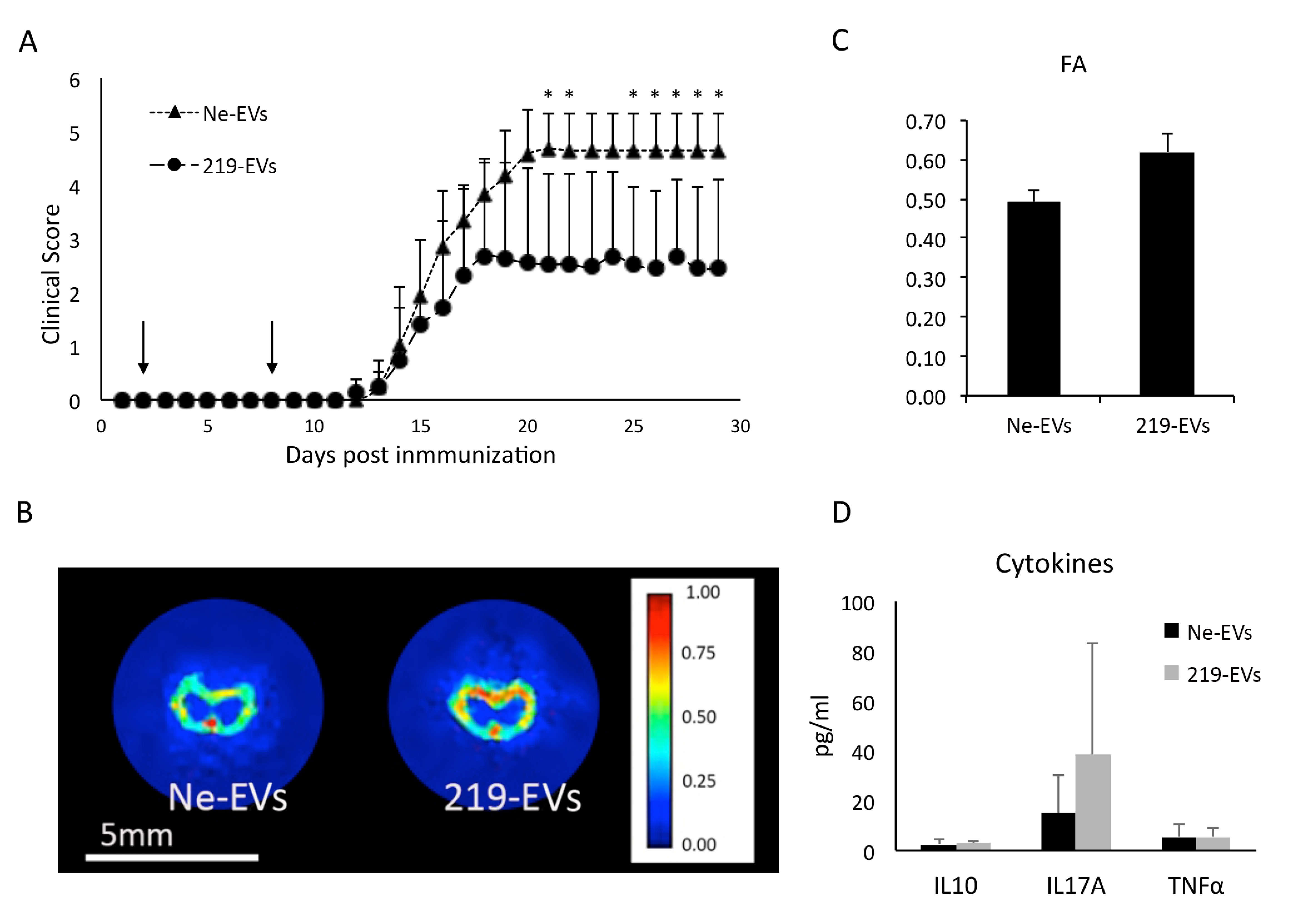 Pharmaceutics 12 00186 g005