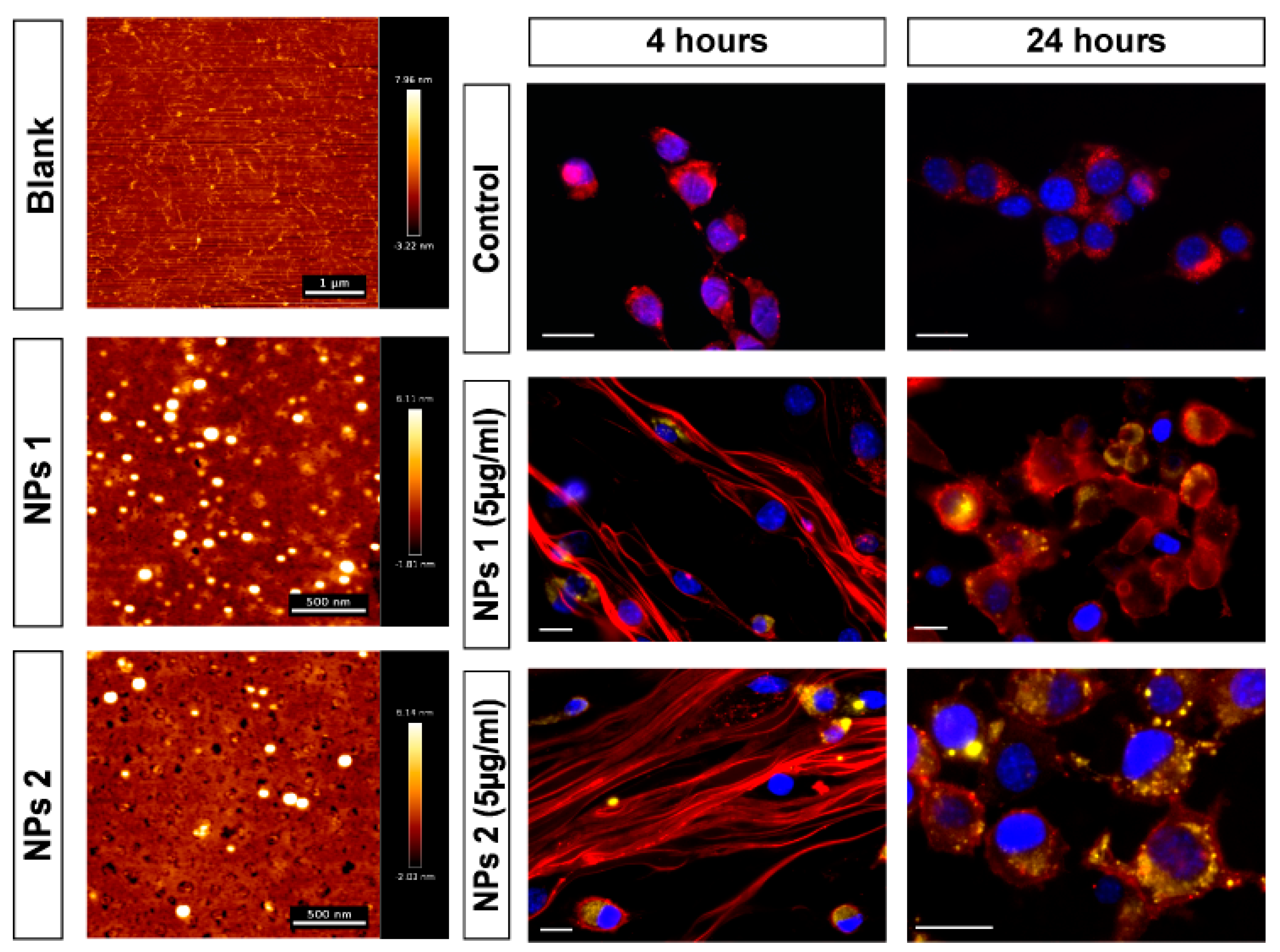 Pharmaceutics 12 00193 g001 Pharmaceutics 12 00193 g001