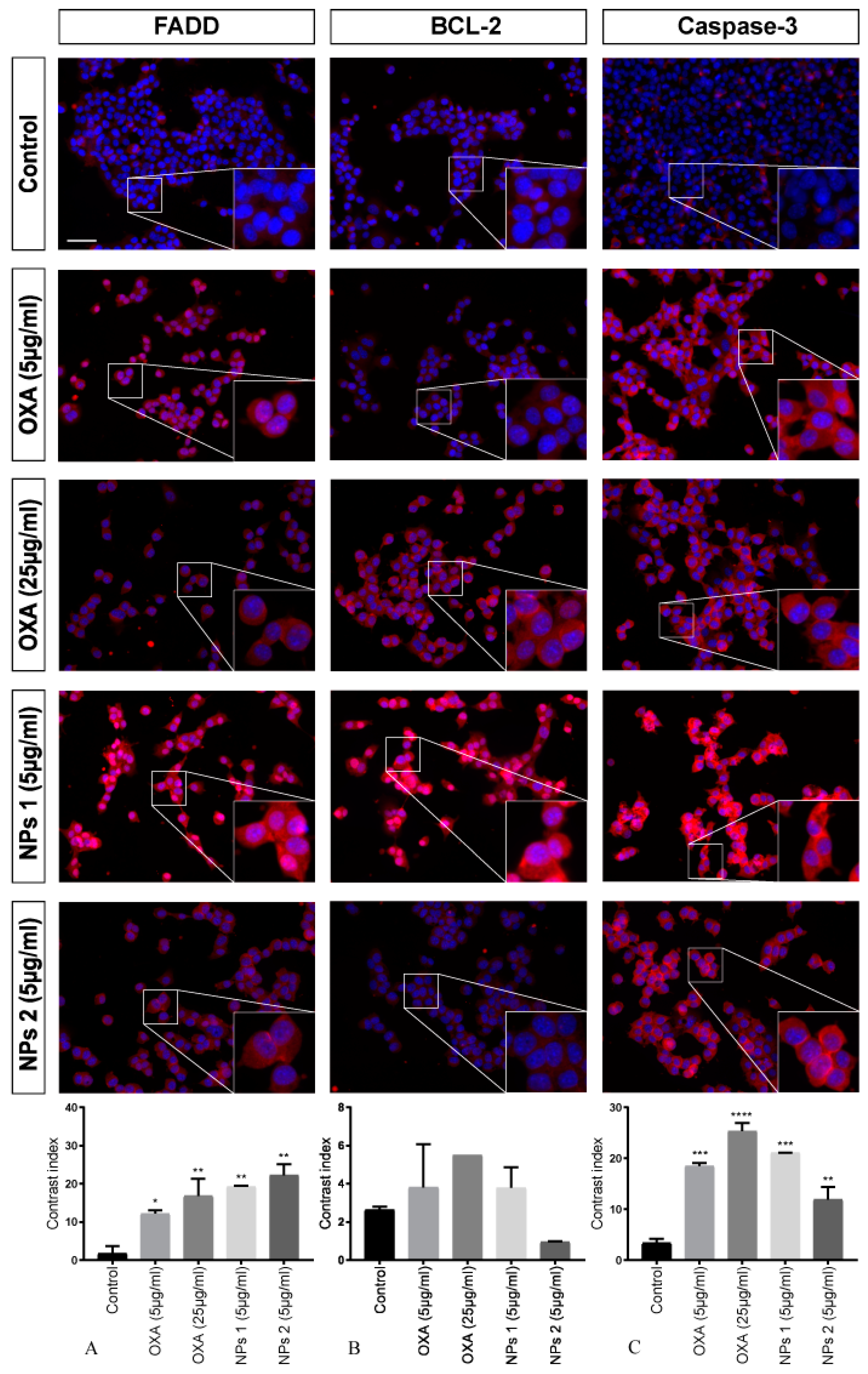 Pharmaceutics 12 00193 g004 Pharmaceutics 12 00193 g004