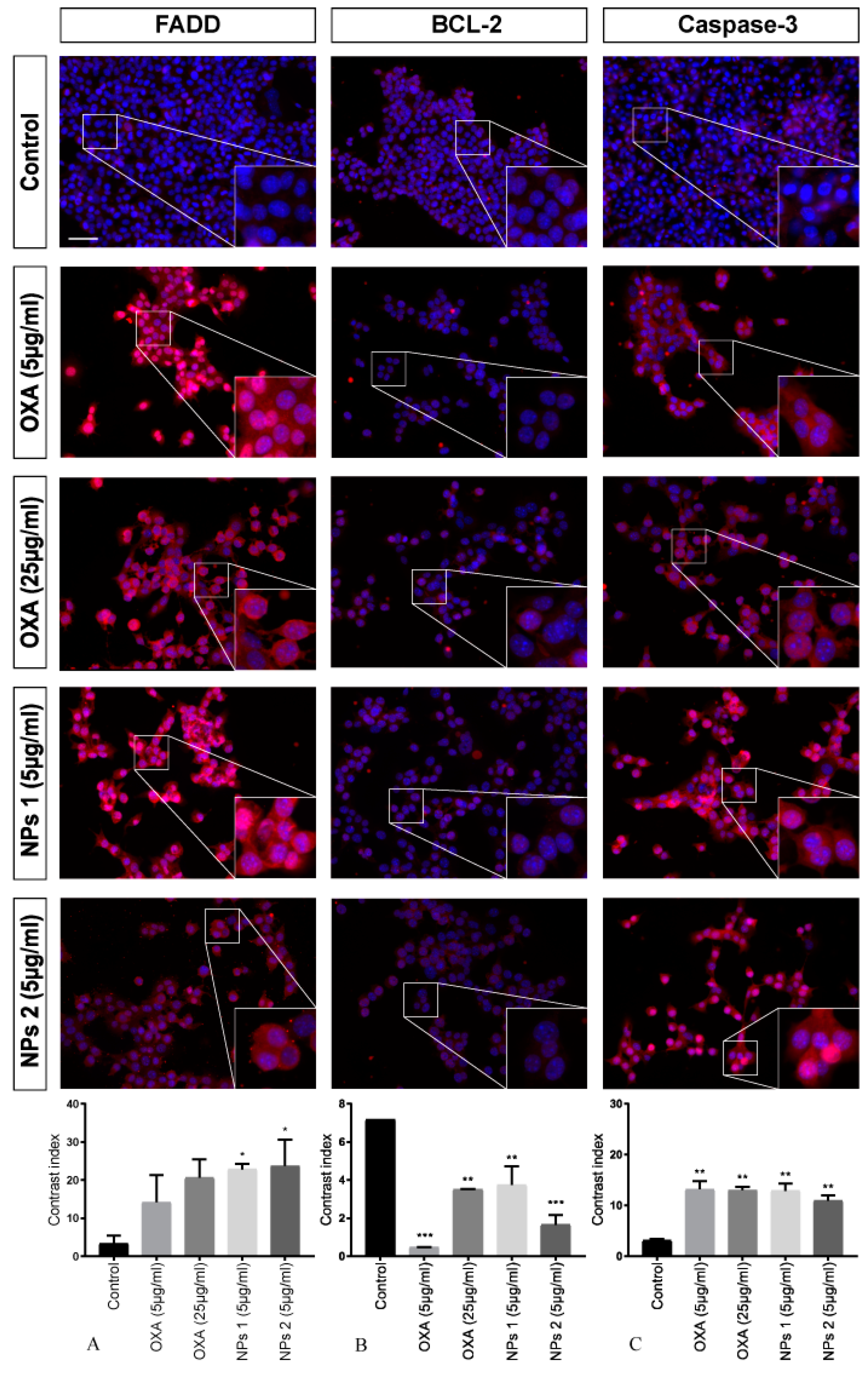 Pharmaceutics 12 00193 g005 Pharmaceutics 12 00193 g005