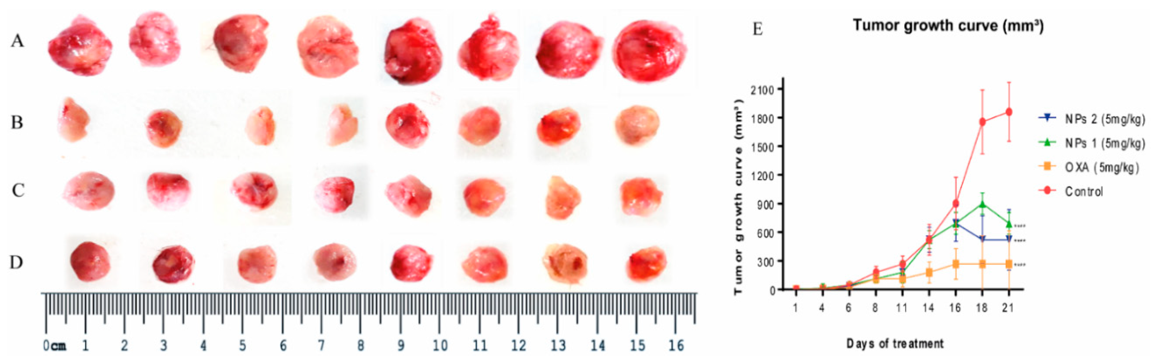 Pharmaceutics 12 00193 g006 Pharmaceutics 12 00193 g006