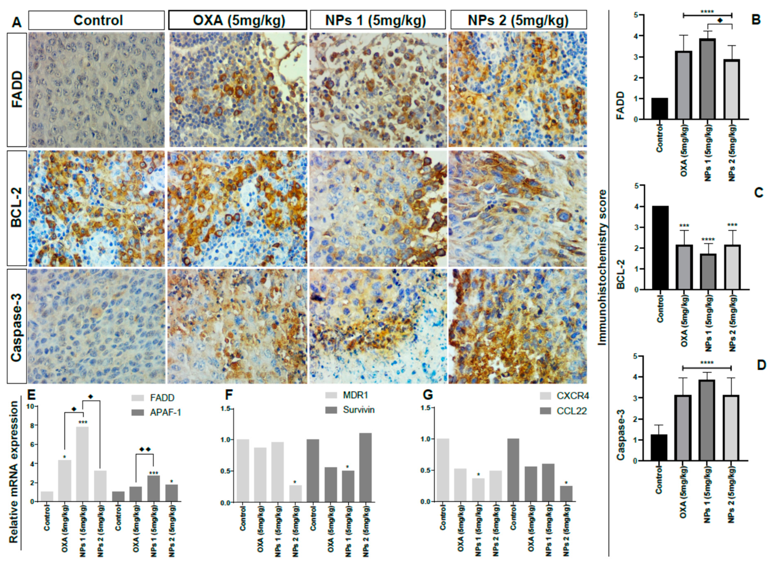 Pharmaceutics 12 00193 g007 Pharmaceutics 12 00193 g007