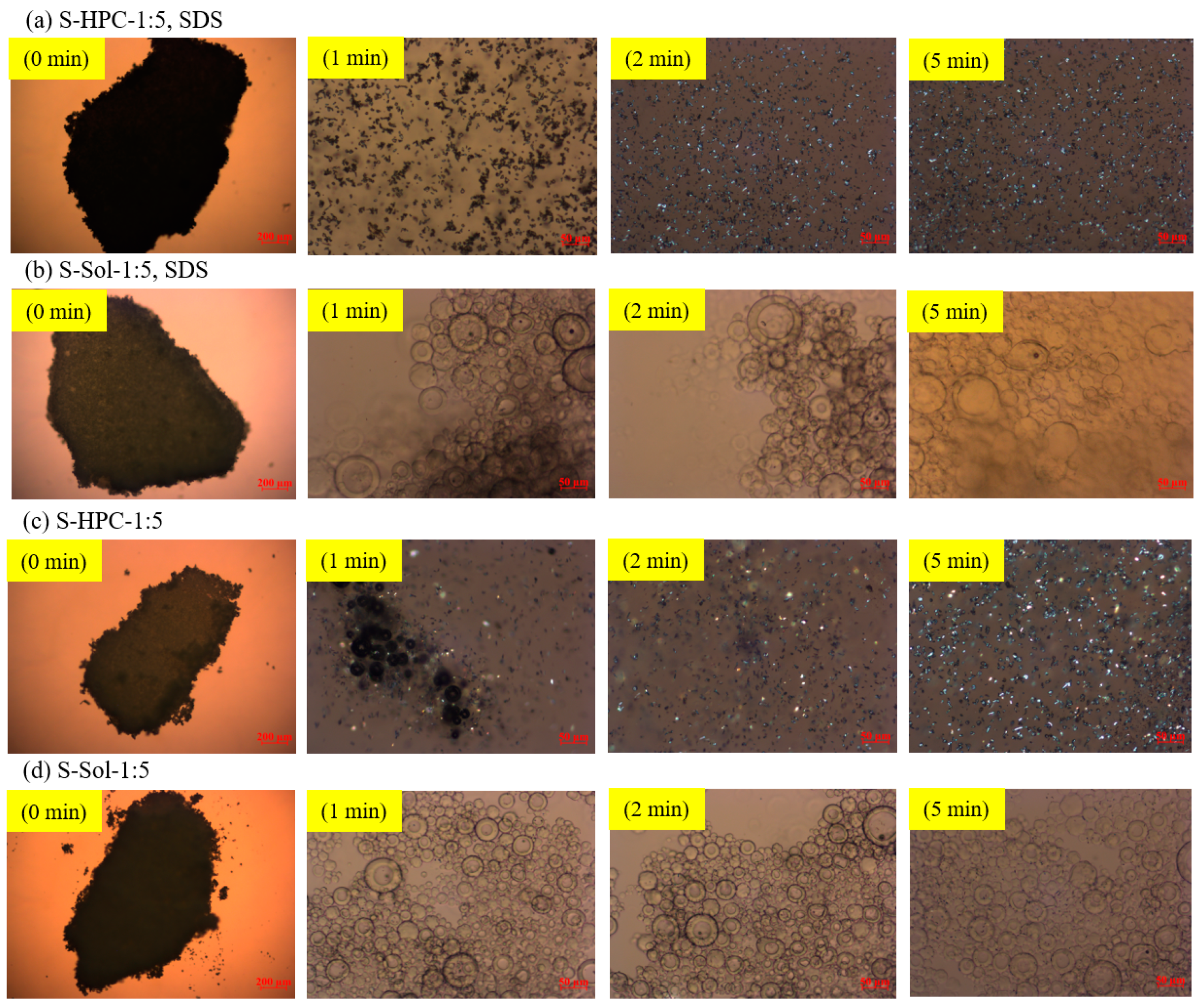 Pharmaceutics 12 00197 g008 Pharmaceutics 12 00197 g008