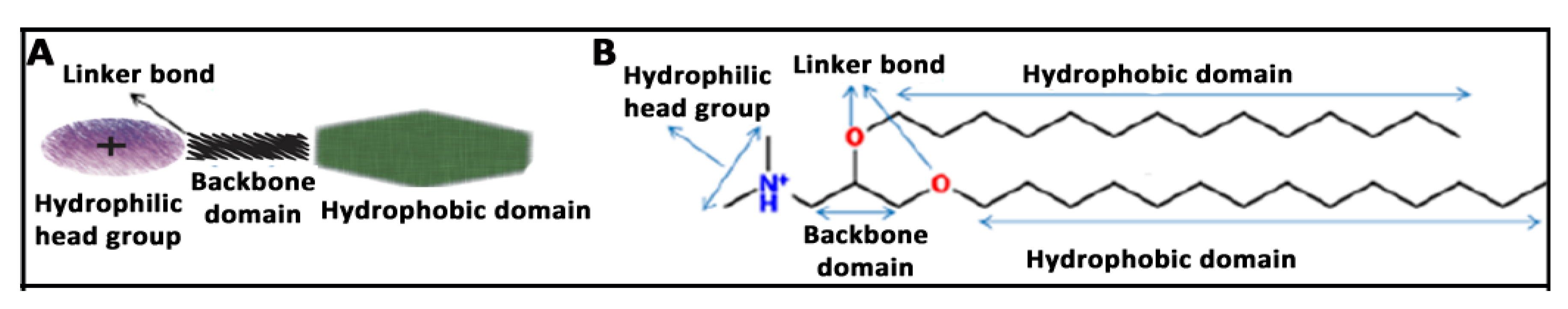 Pharmaceutics 12 00198 g002