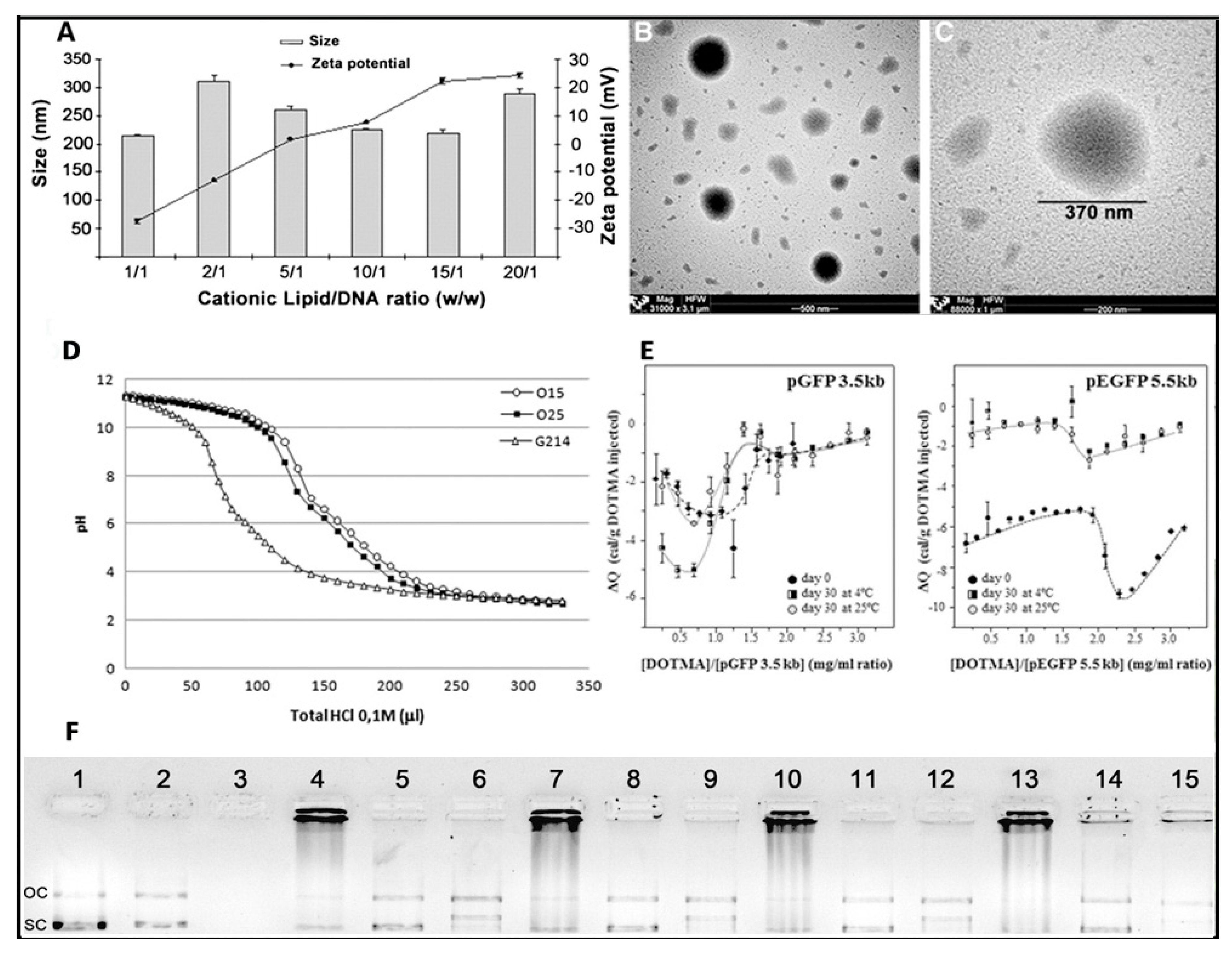 Pharmaceutics 12 00198 g004
