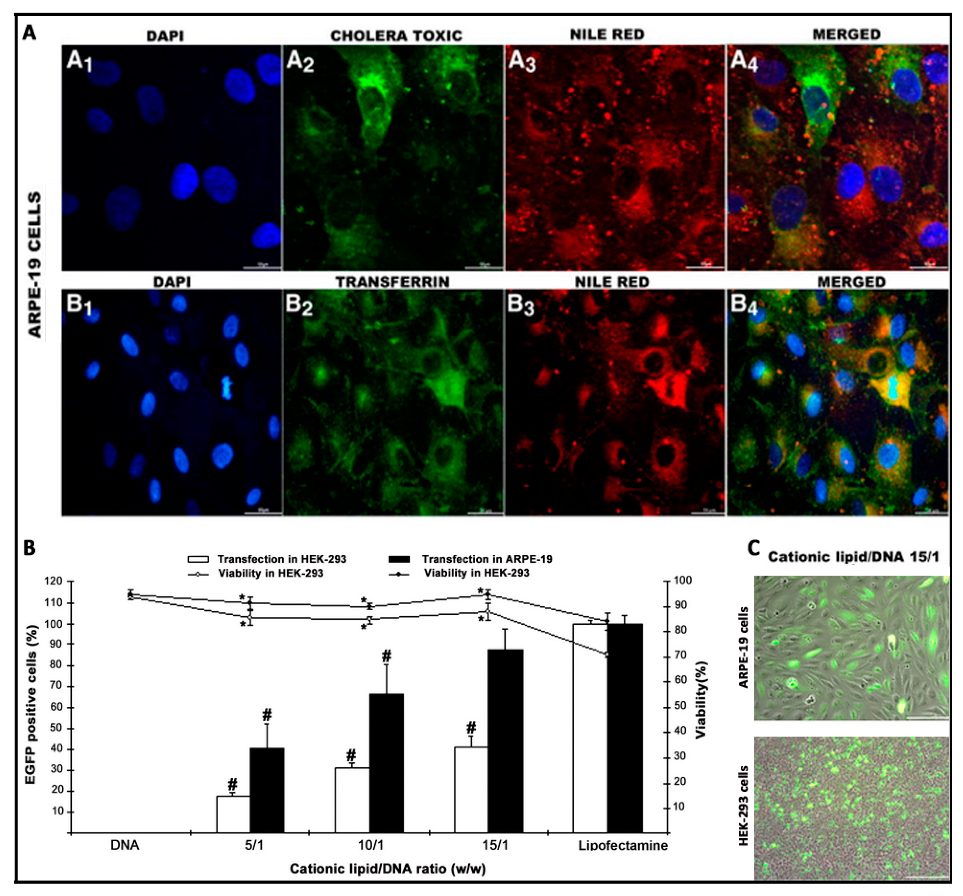 Pharmaceutics 12 00198 g005