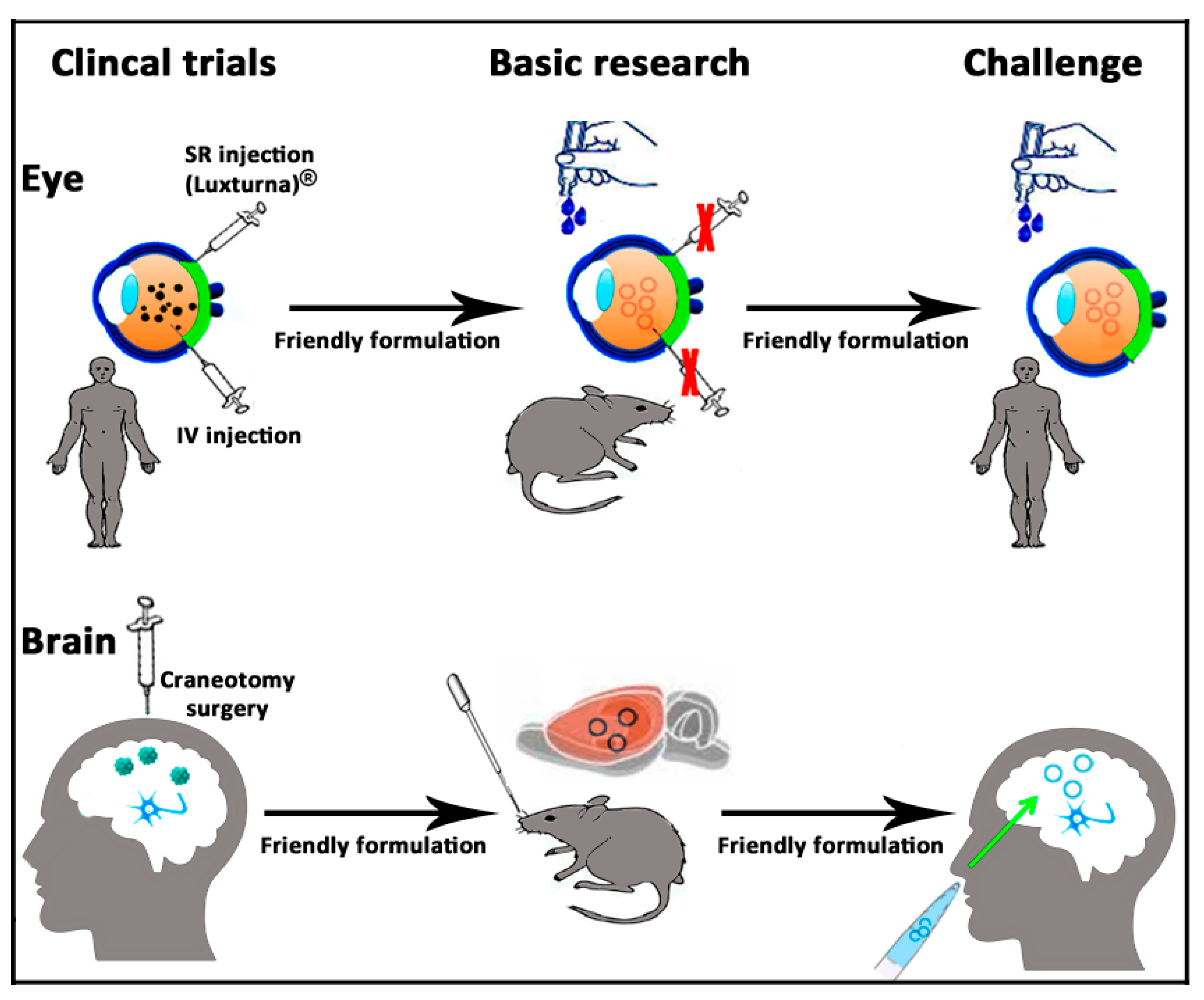 Pharmaceutics 12 00198 g008