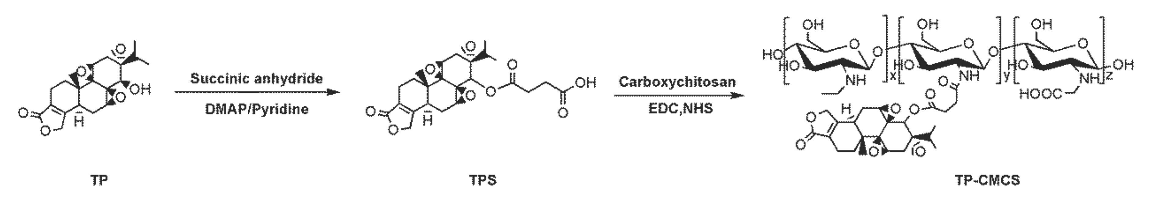 Pharmaceutics 12 00202 sch001 Pharmaceutics 12 00202 sch001