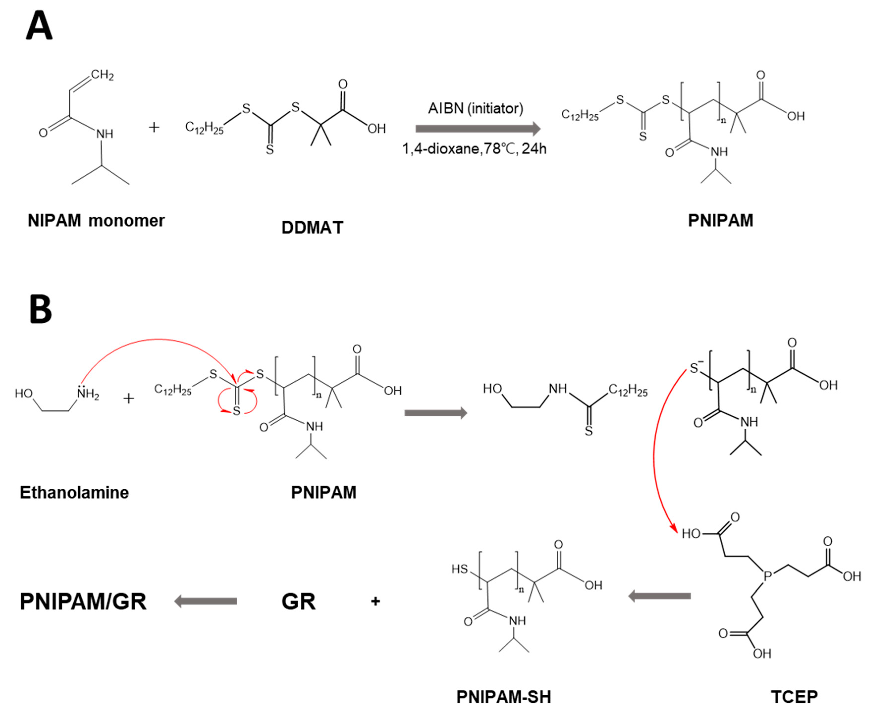 Pharmaceutics 12 00204 g002