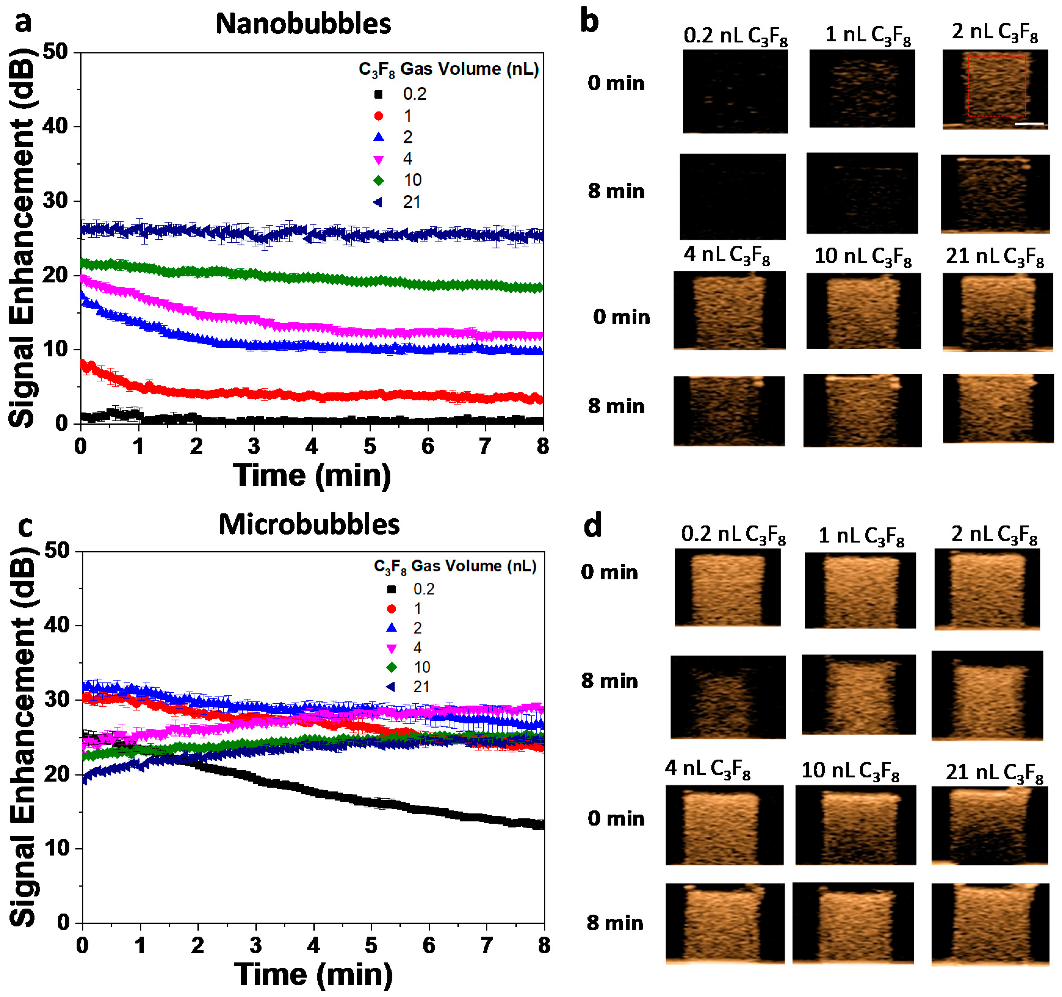 Pharmaceutics 12 00208 g004 Pharmaceutics 12 00208 g004