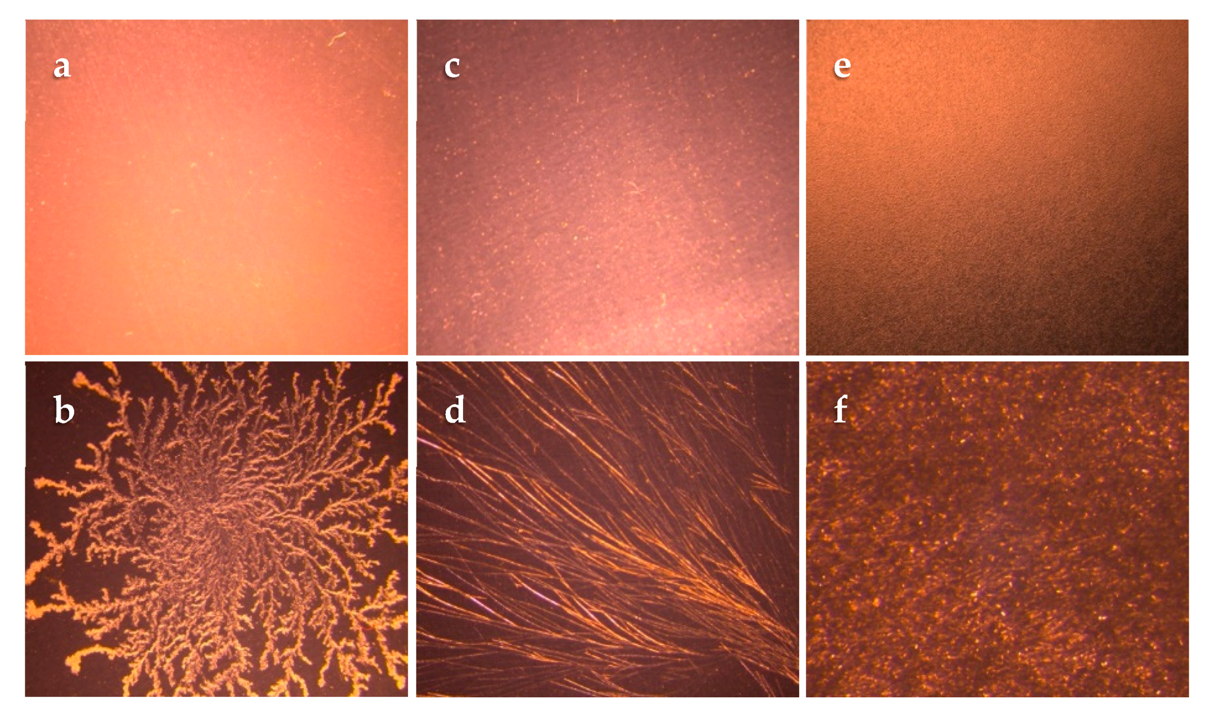Pharmaceutics 12 00209 g001