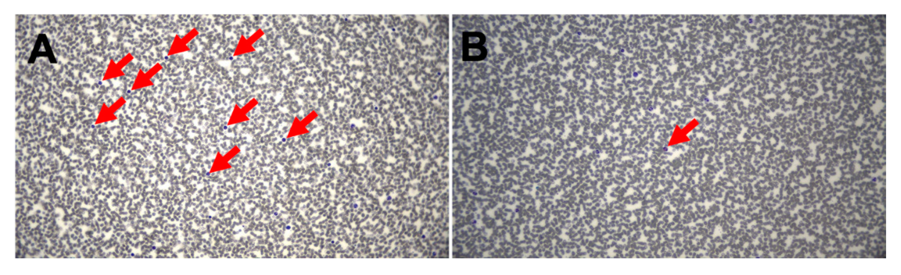 Pharmaceutics 12 00210 g001 Pharmaceutics 12 00210 g001