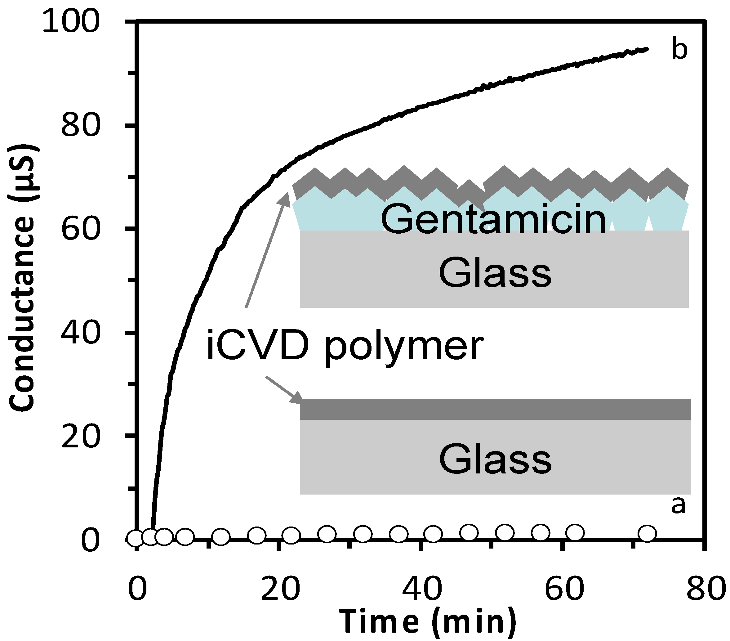 Pharmaceutics 12 00213 g003