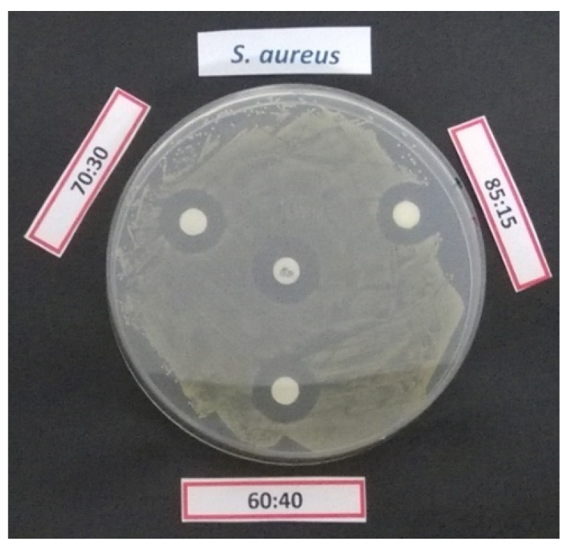 Pharmaceutics 12 00213 g005