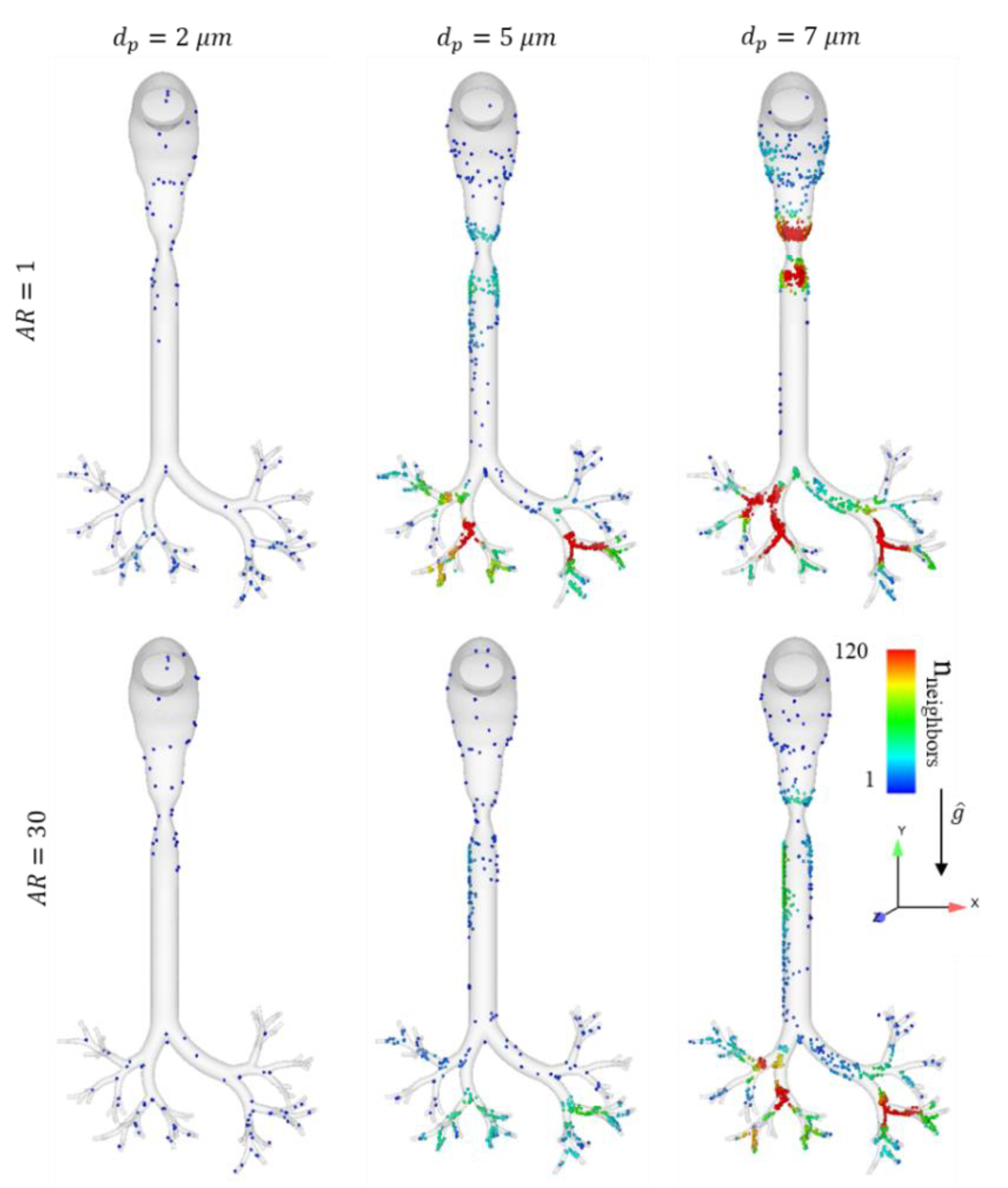 Pharmaceutics 12 00230 g002 Pharmaceutics 12 00230 g002