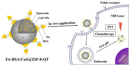 Metal Organic Frameworks as Drug Targeting Delivery Vehicles in the ...