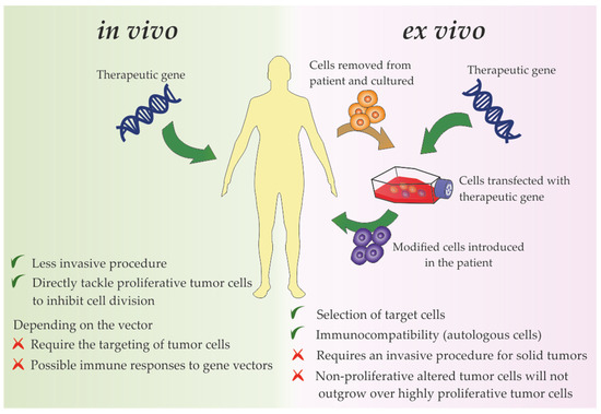 Gene Therapy in Cancer Treatment: Why Go Nano?